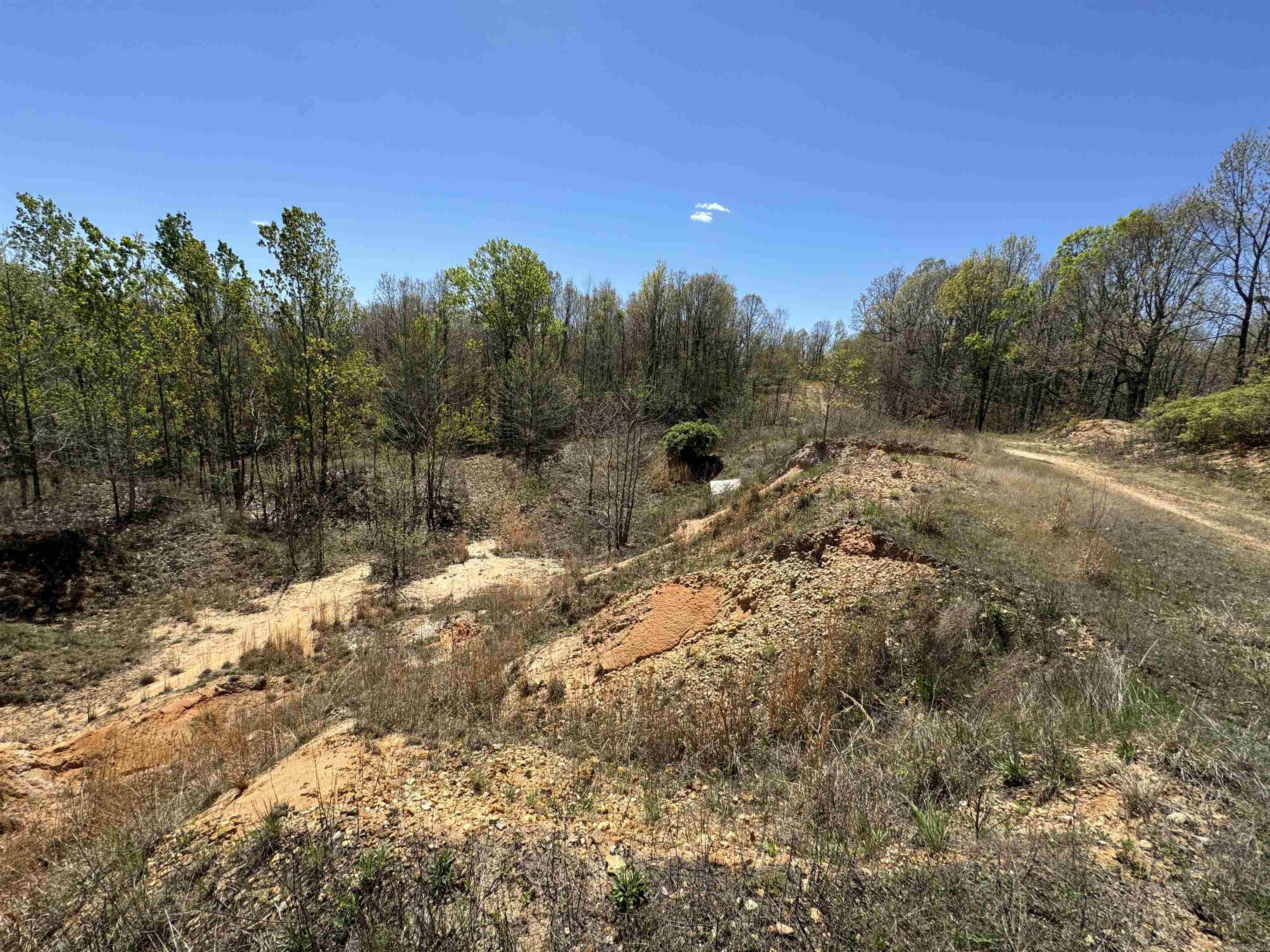 0 Clay Rd 431 Property Photo 13