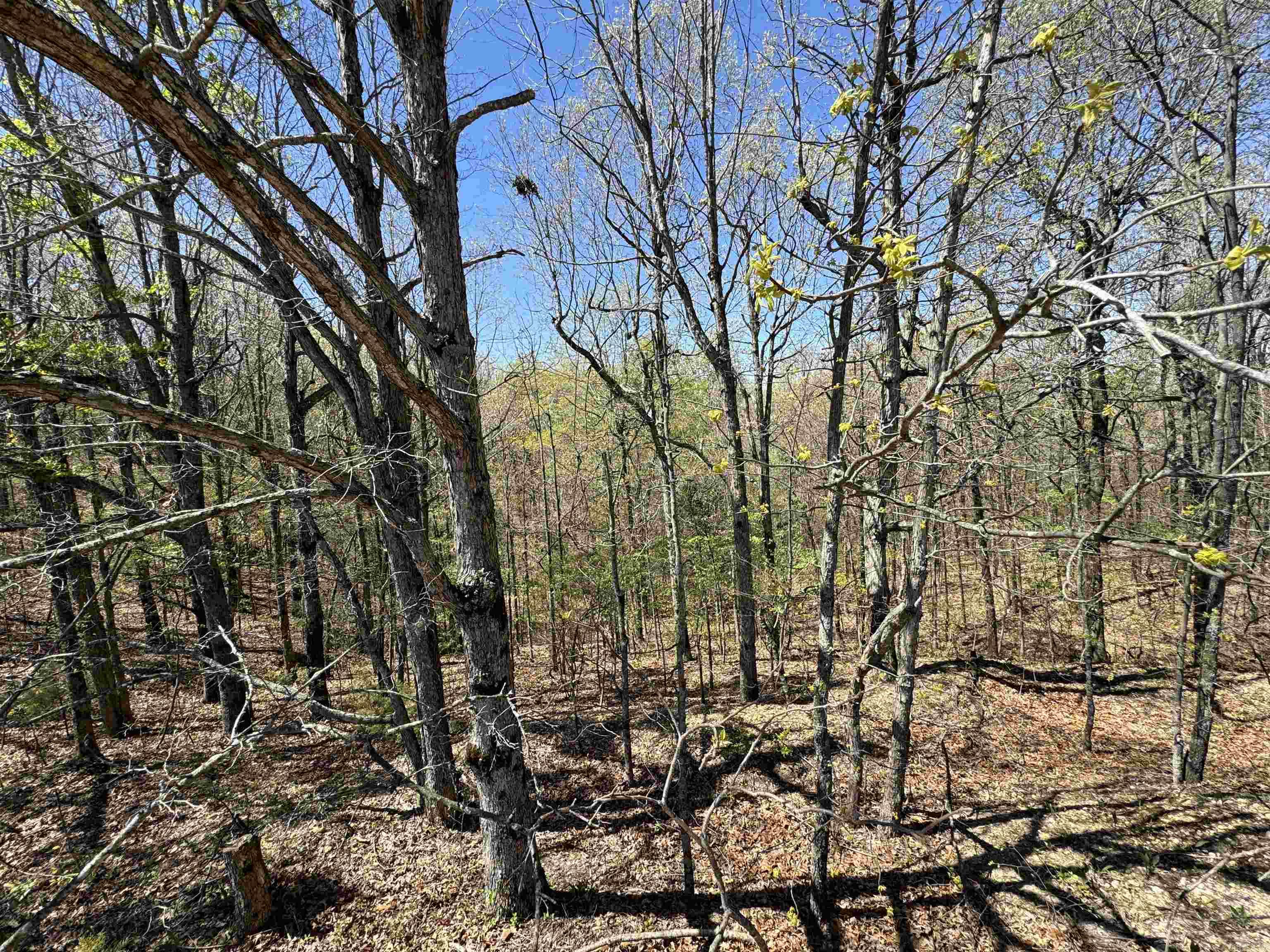 0 Clay Rd 431 Property Photo 14