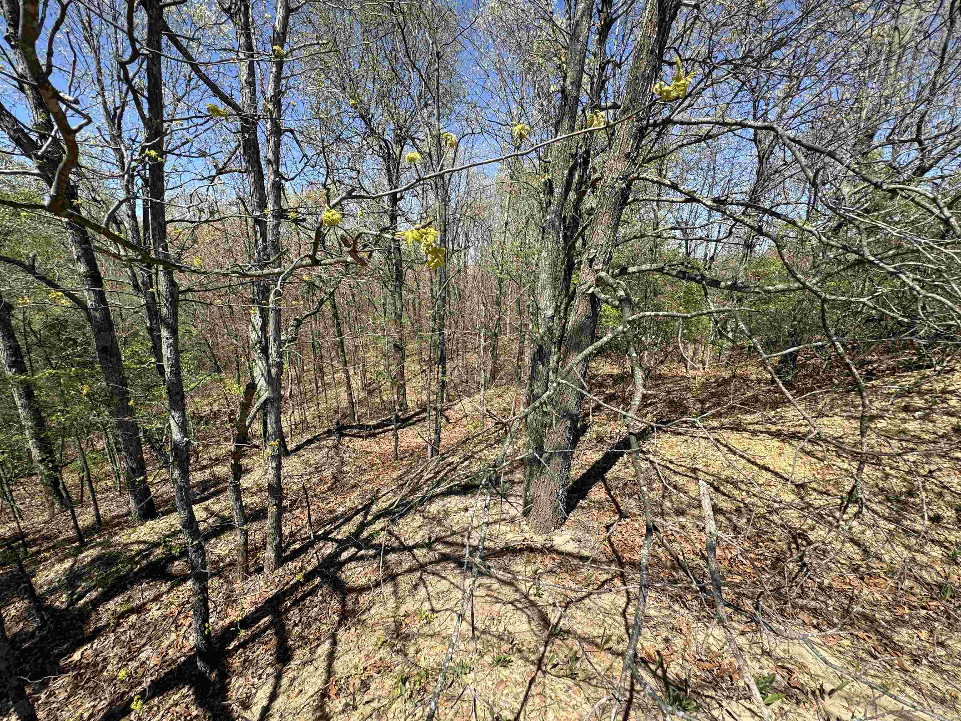 0 Clay Rd 431 Property Photo 15