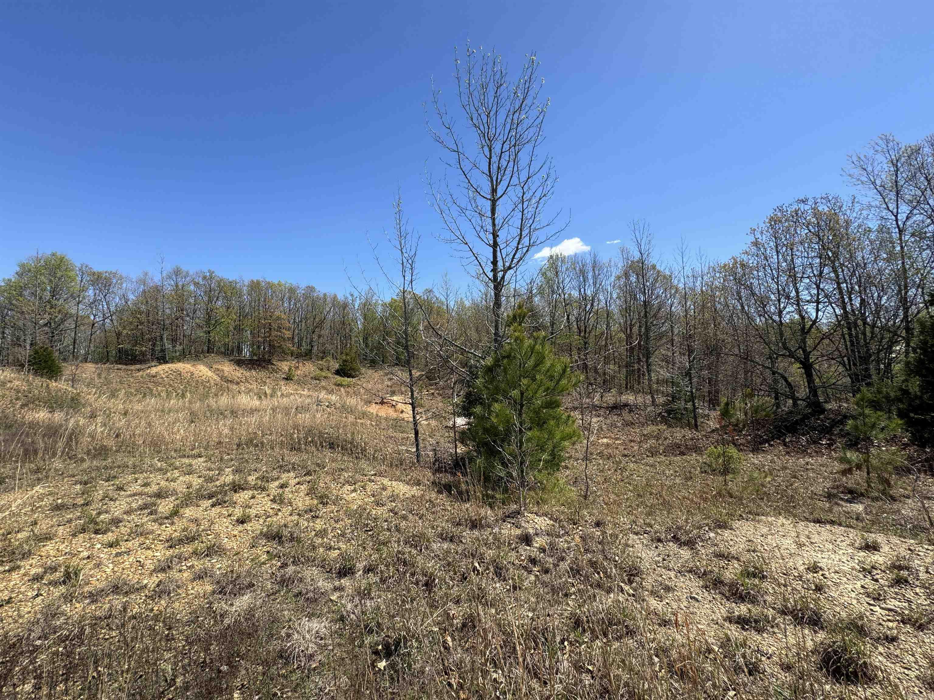 0 Clay Rd 431 Property Photo 18