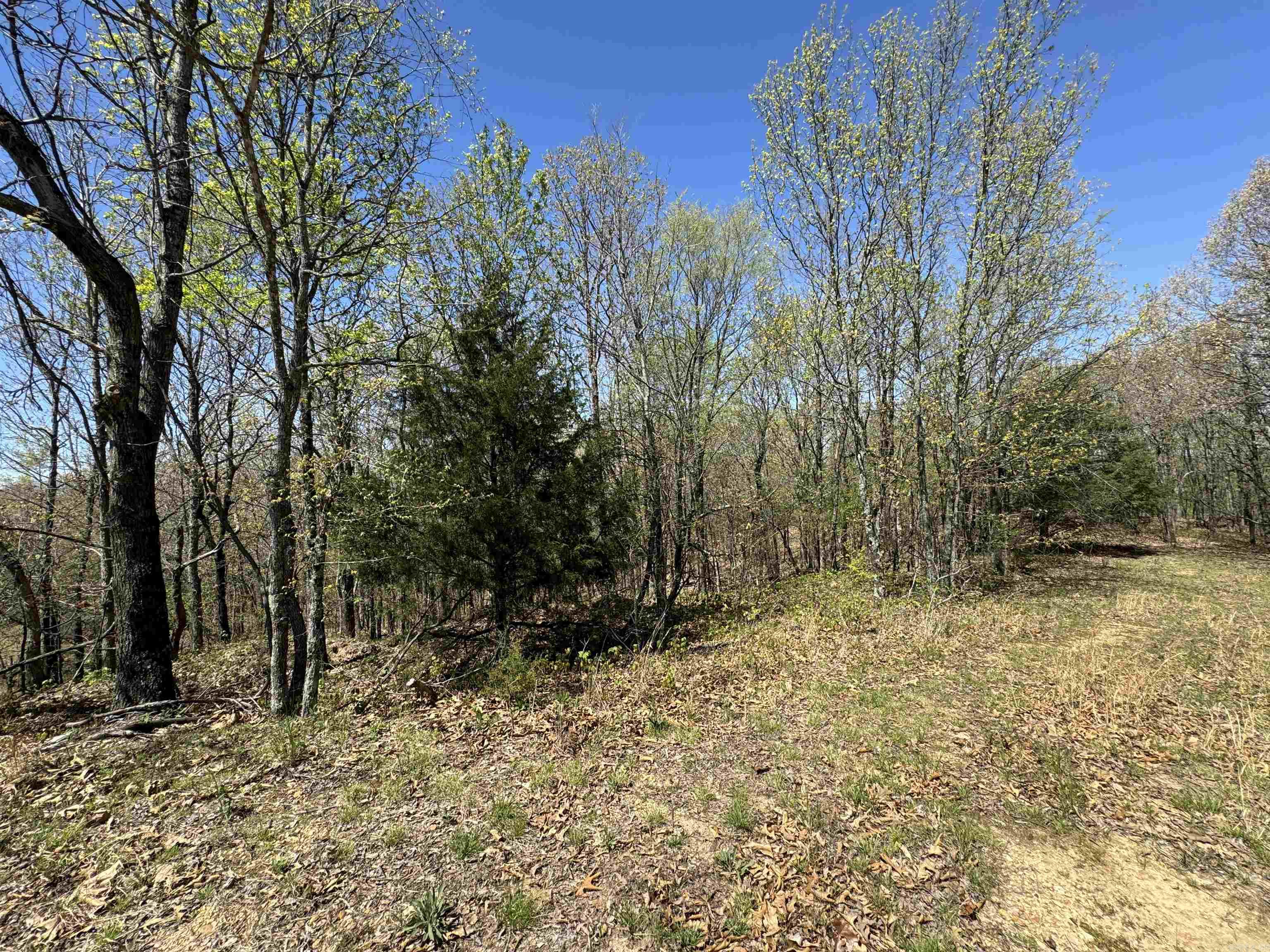 0 Clay Rd 431 Property Photo 22