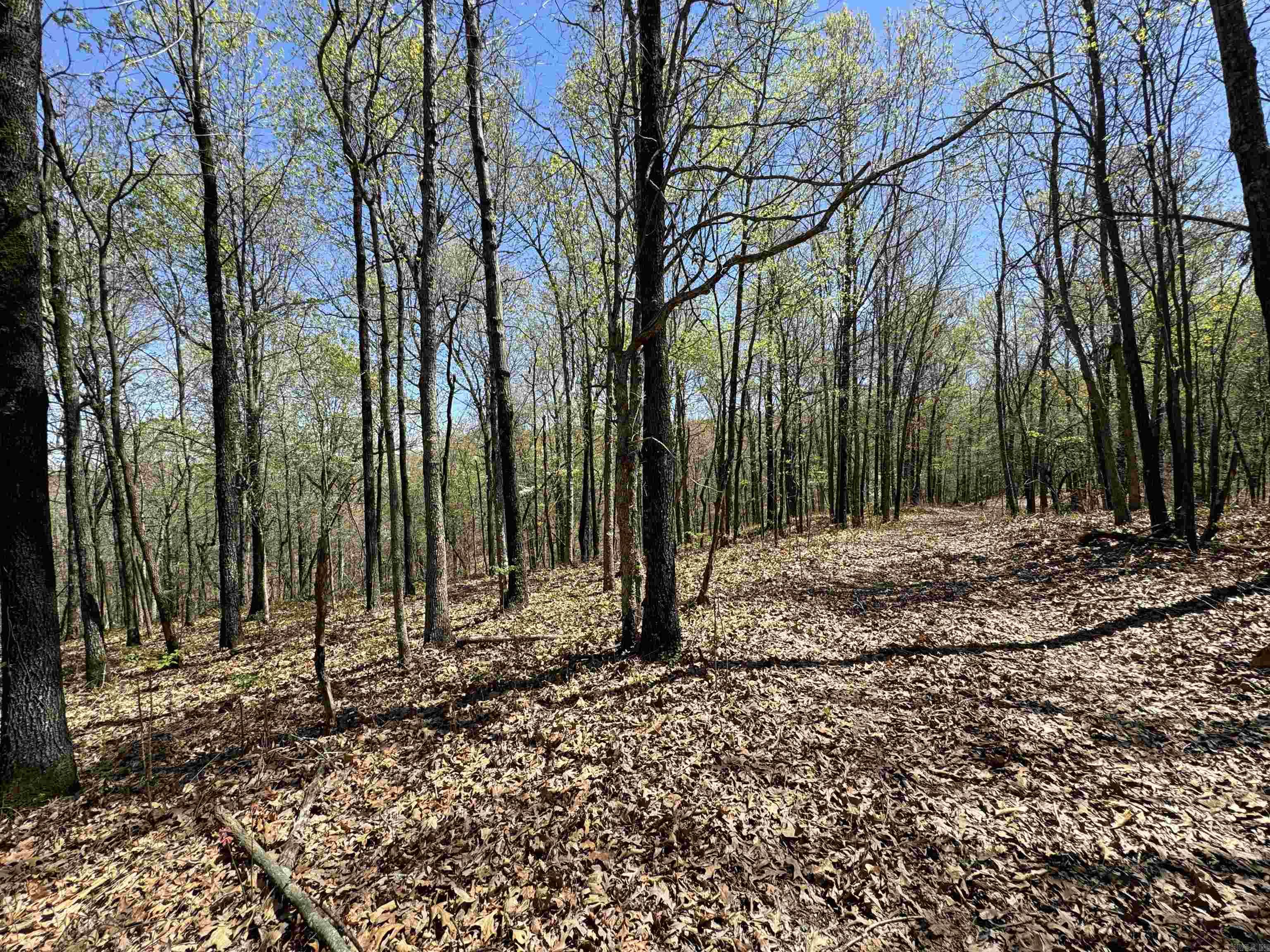 0 Clay Rd 431 Property Photo 23