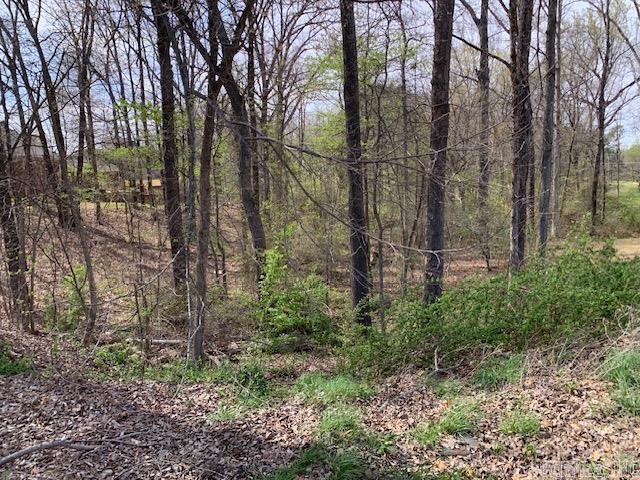 900 Rolling Forest Drive Property Photo 2