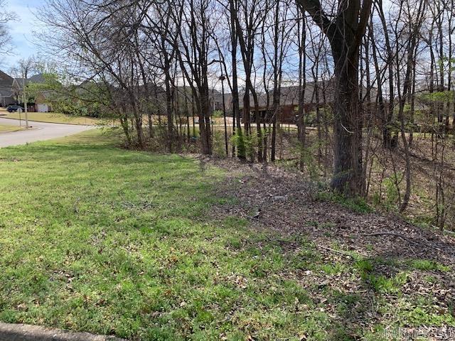 900 Rolling Forest Drive Property Photo 3