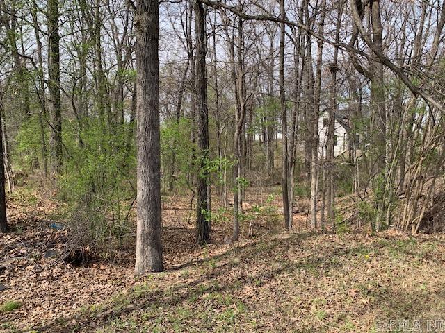 900 Rolling Forest Drive Property Photo 6