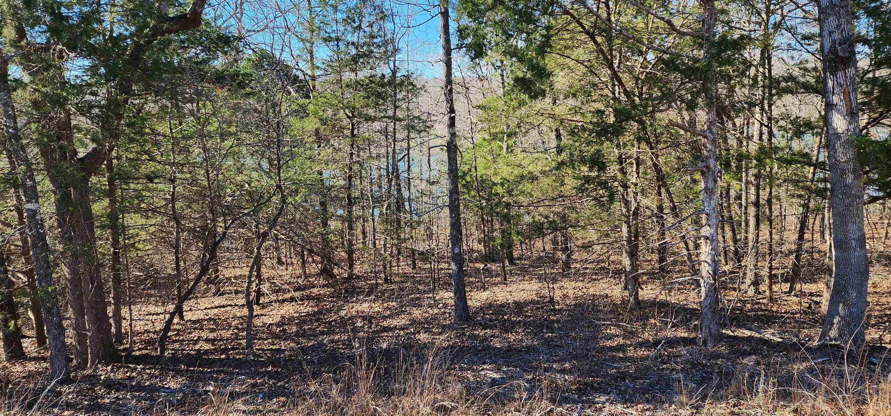 Tbd Isleta Drive Property Photo 3