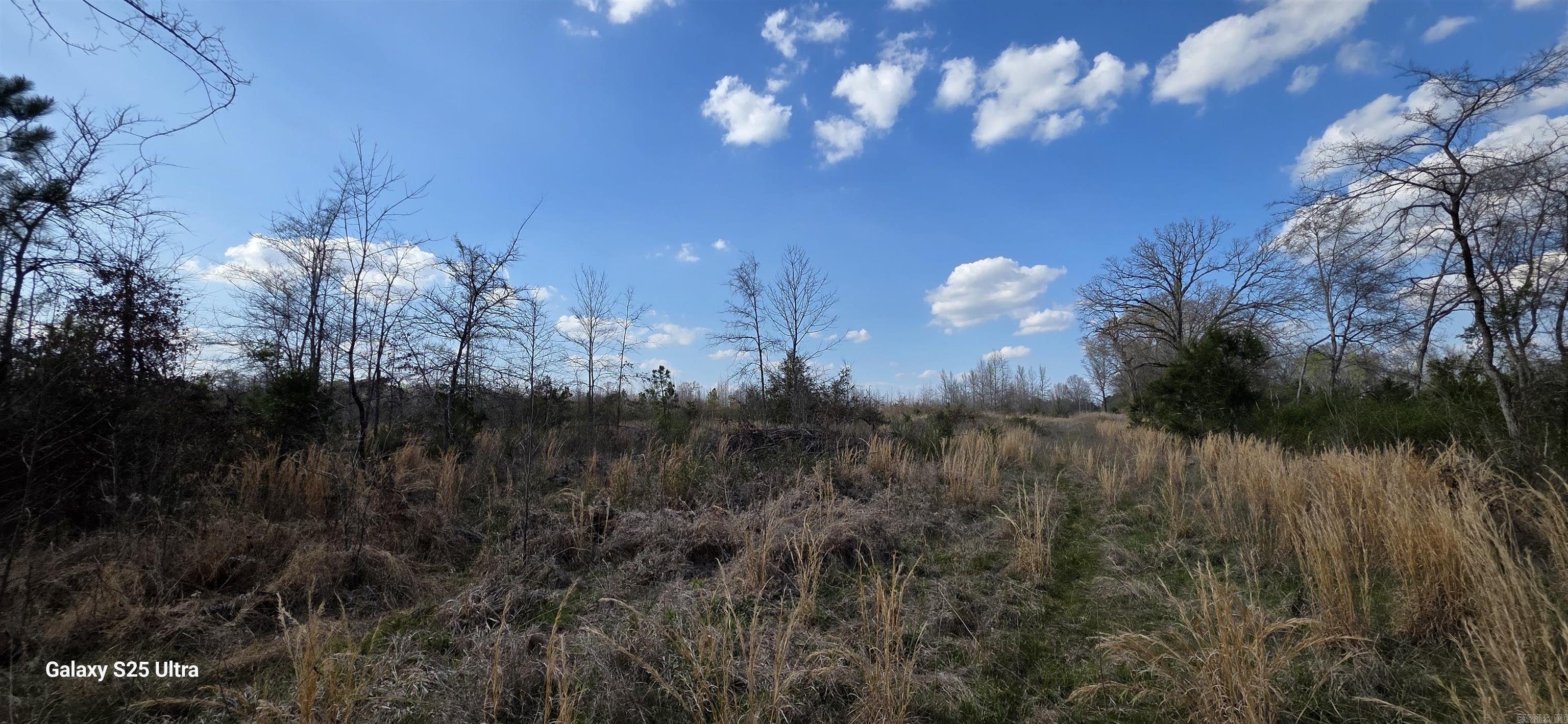 00 Newberry Road Property Photo 10