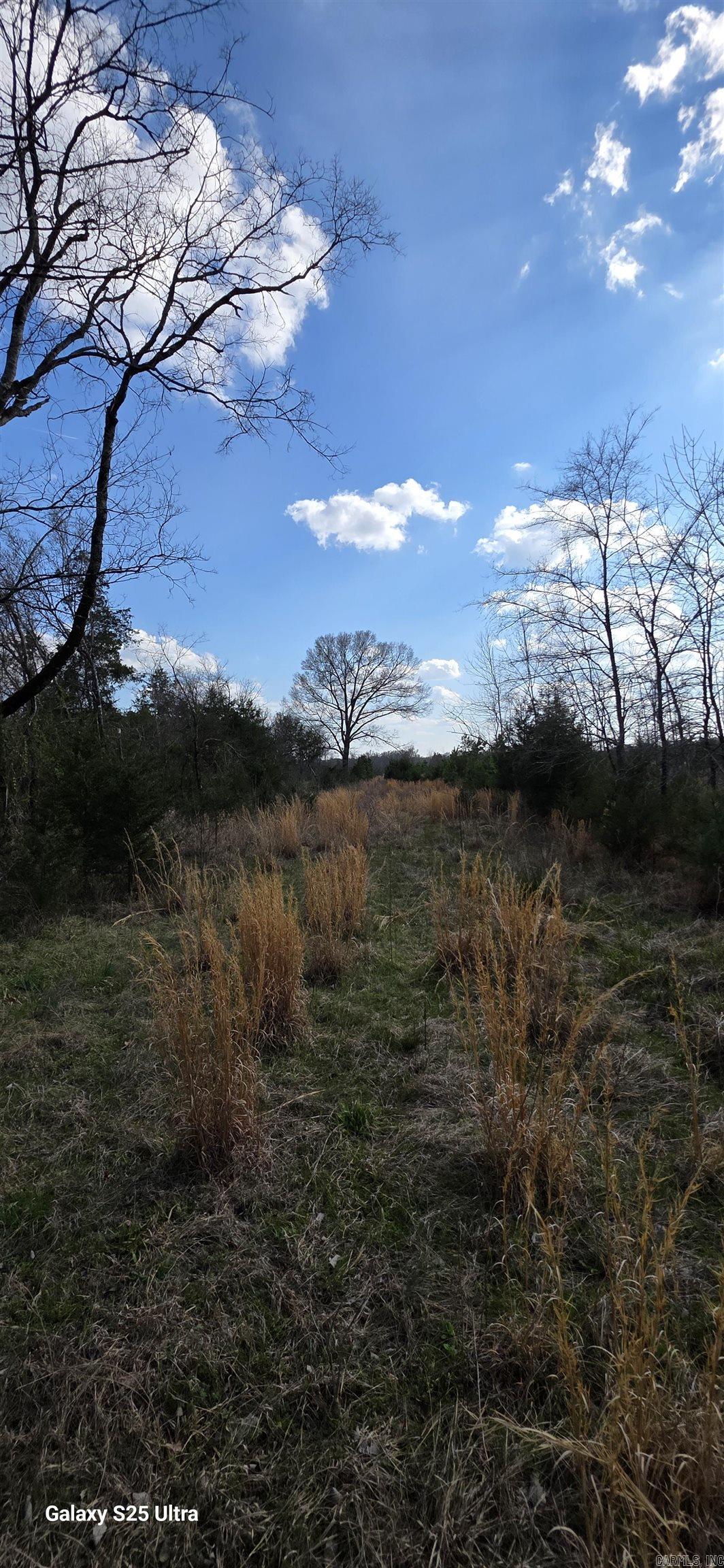 00 Newberry Road Property Photo 11