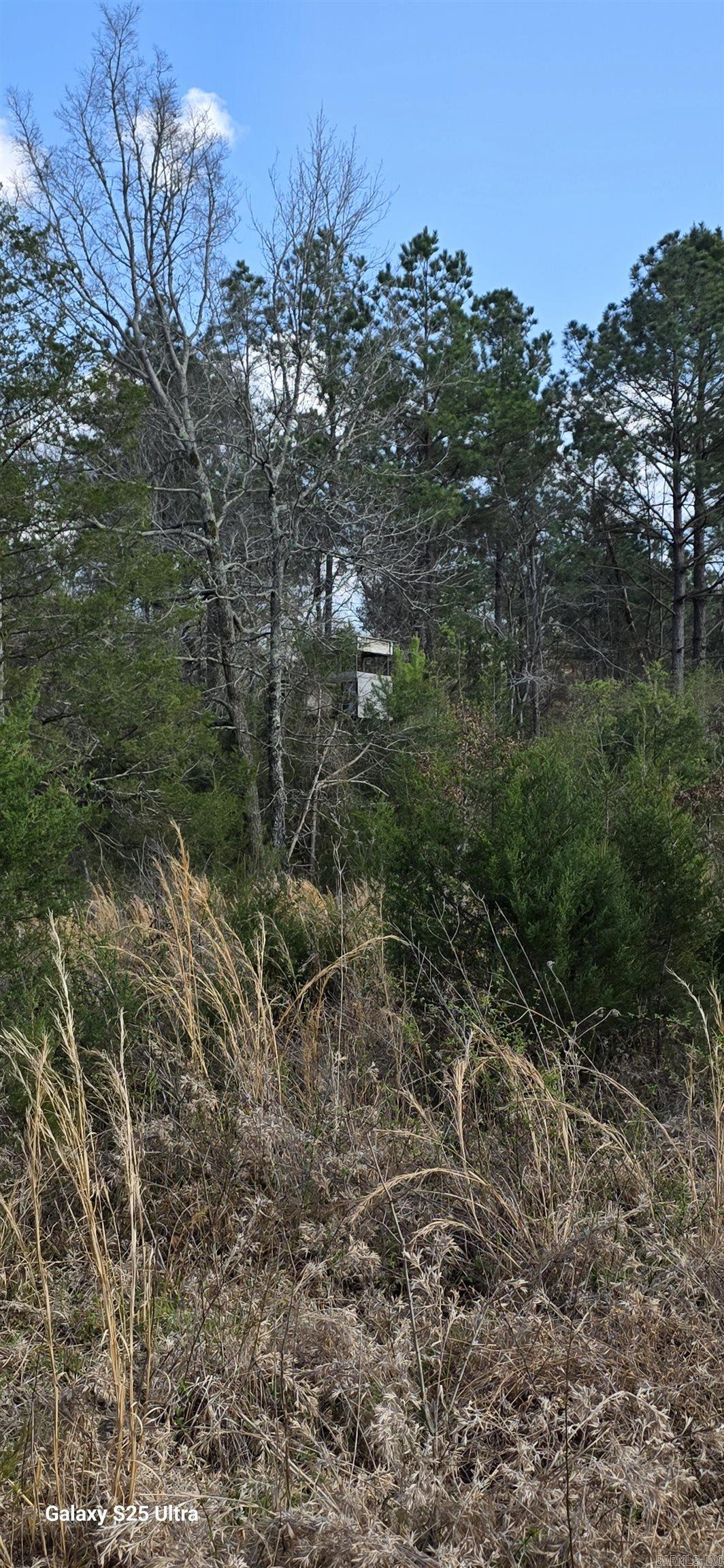 00 Newberry Road Property Photo 15