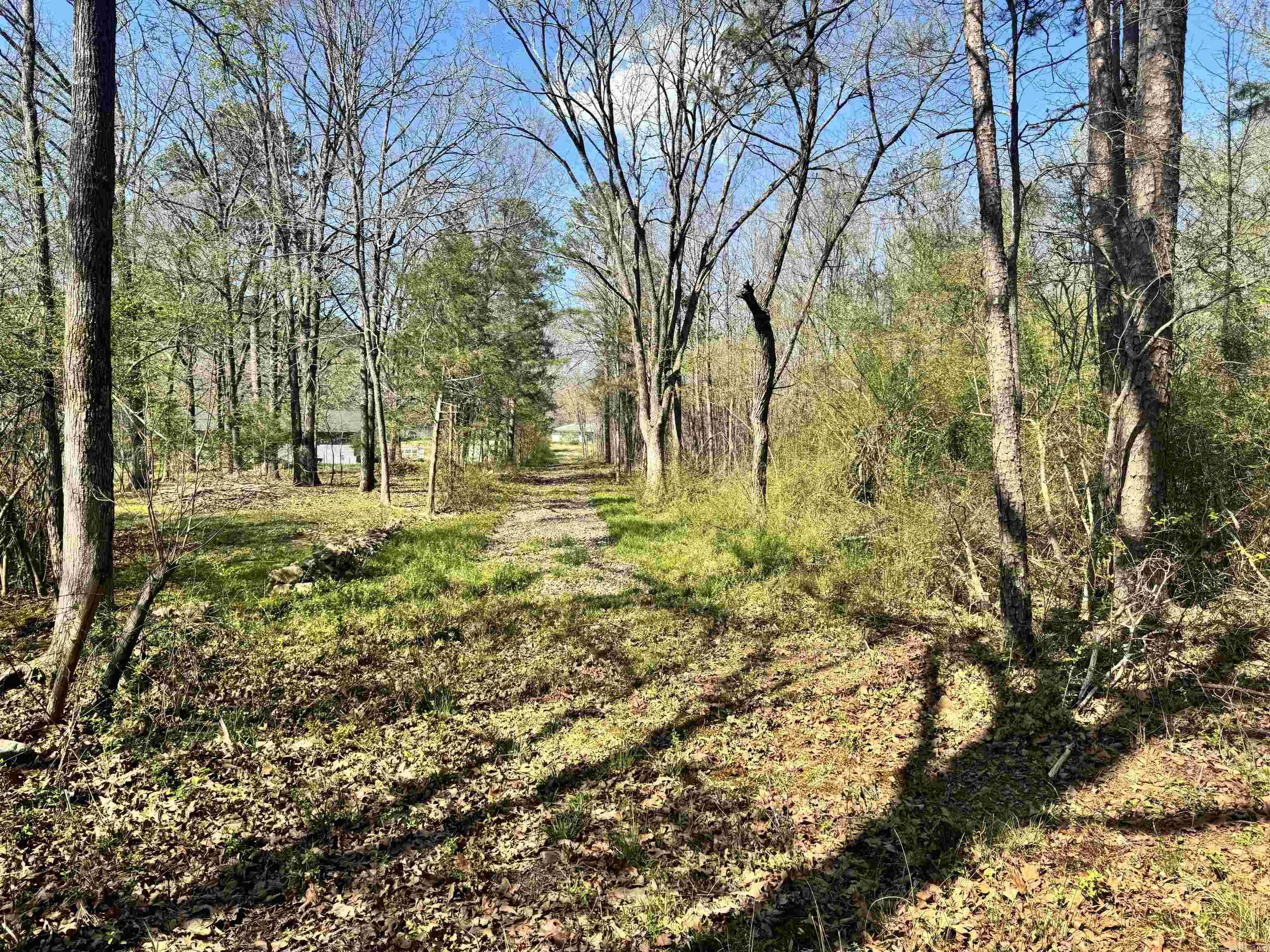 209 Finks Street Property Photo 13