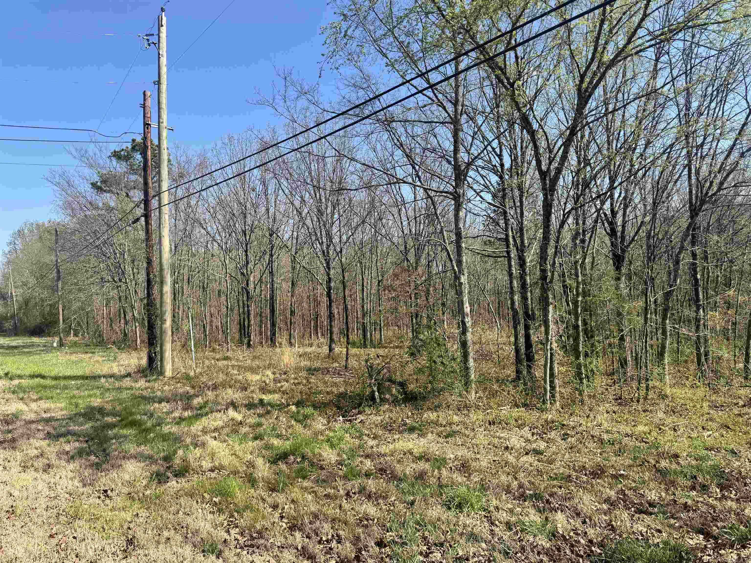 209 Finks Street Property Photo 23