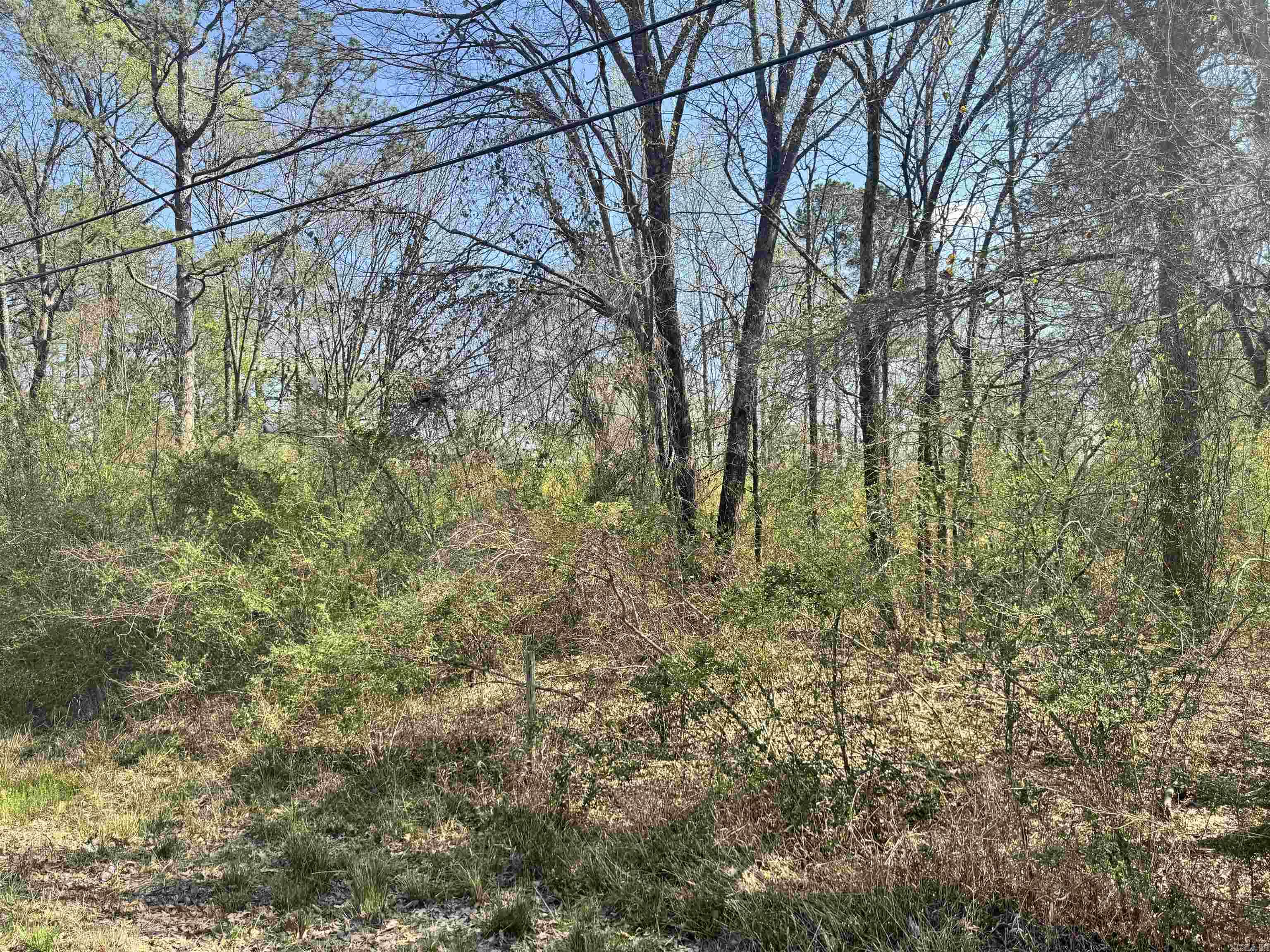 209 Finks Street Property Photo 27