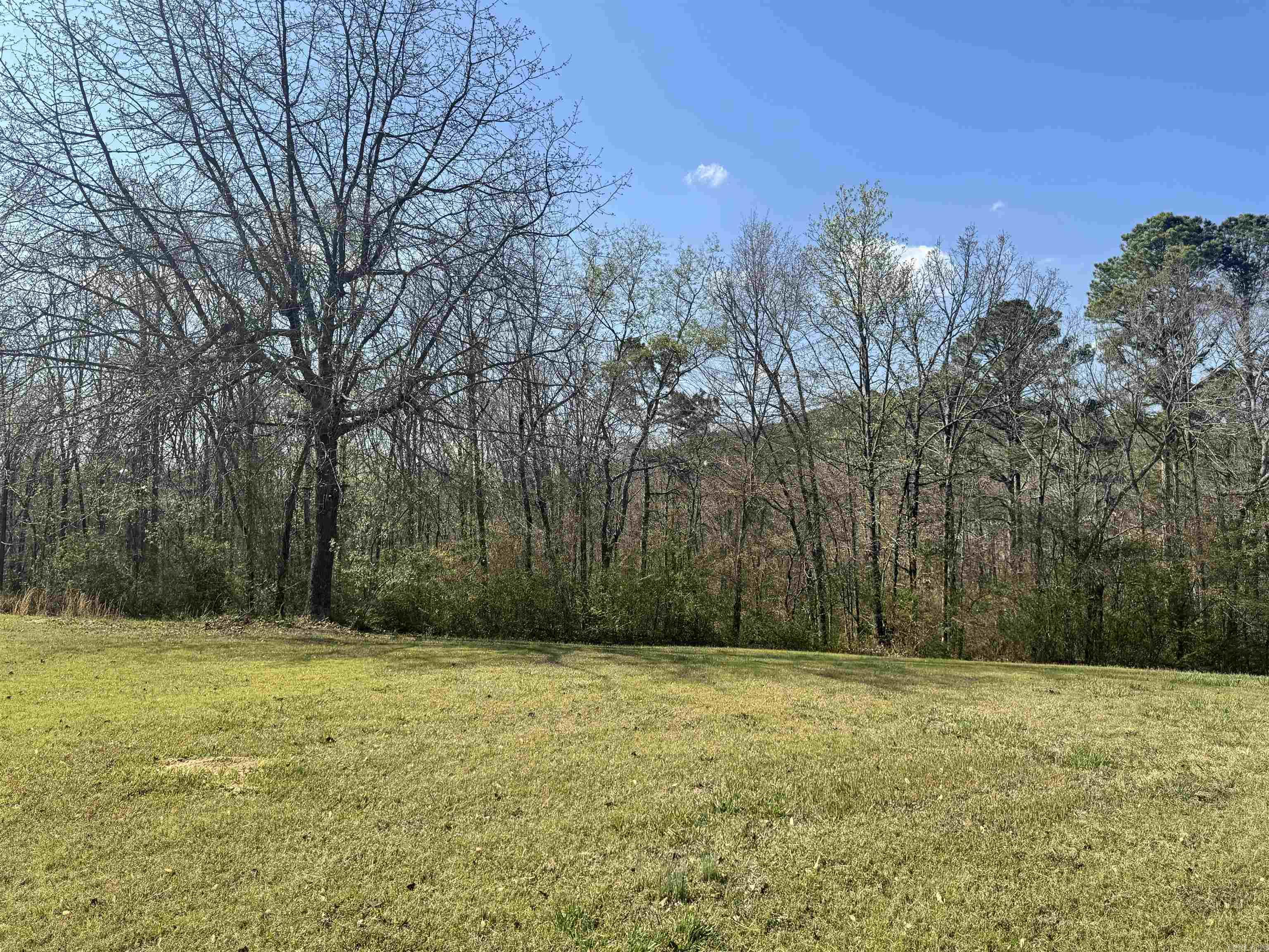 209 Finks Street Property Photo 33