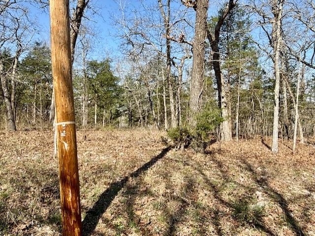Tbd Powhatan Drive Property Photo 2