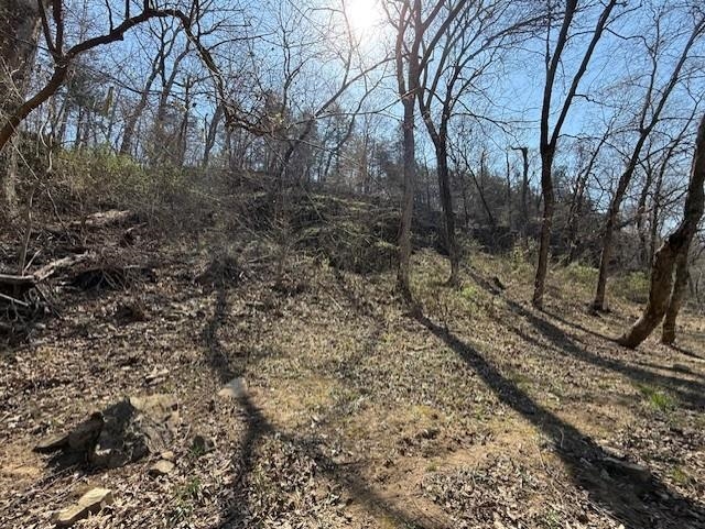 Tbd Powhatan Drive Property Photo 3