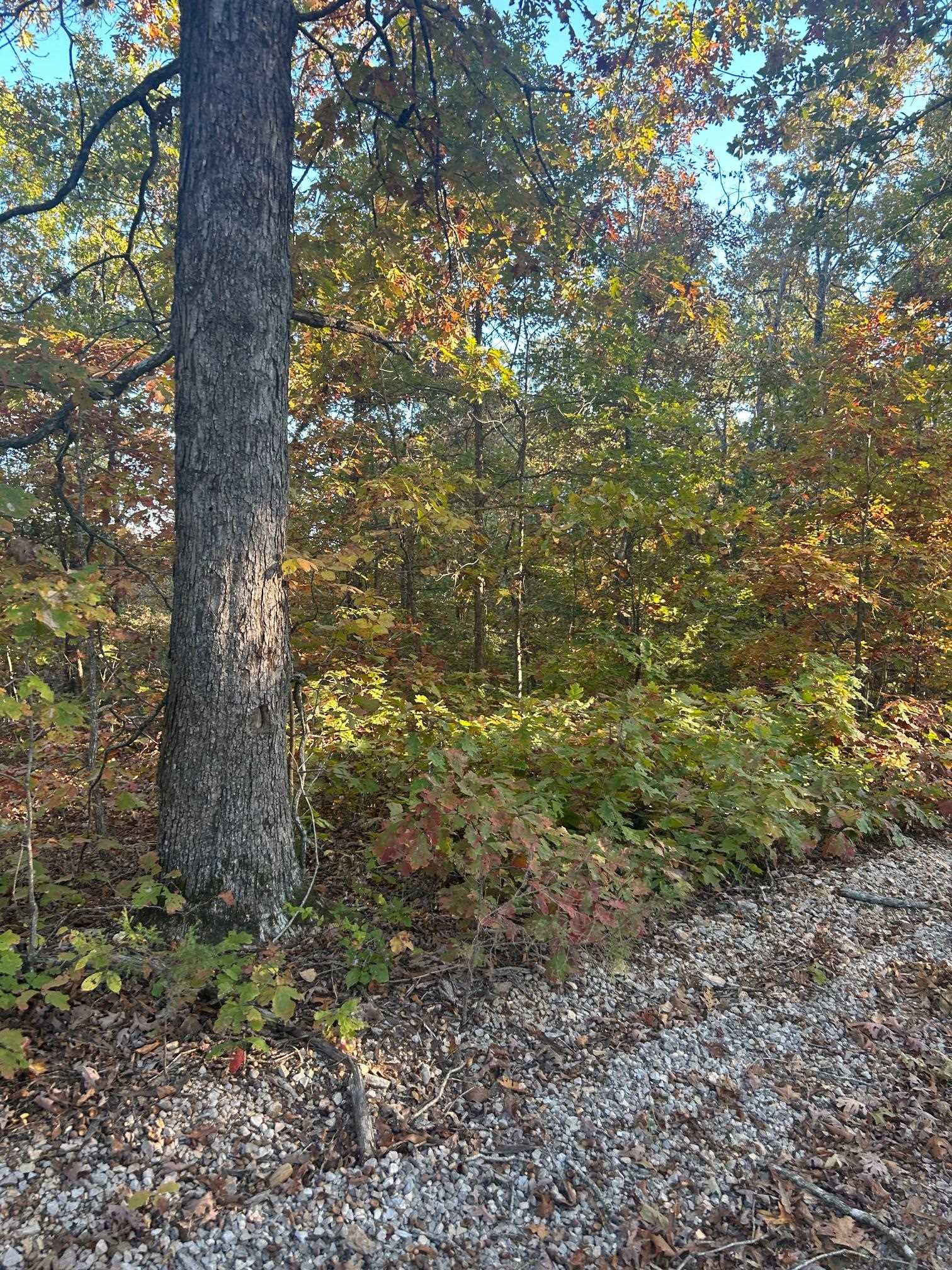 Tbd Cr 146 Property Photo 1