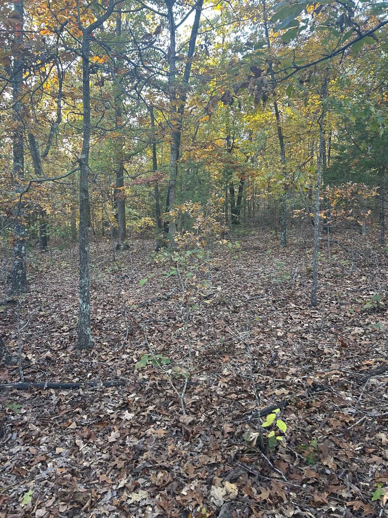 Tbd Cr 146 Property Photo 3