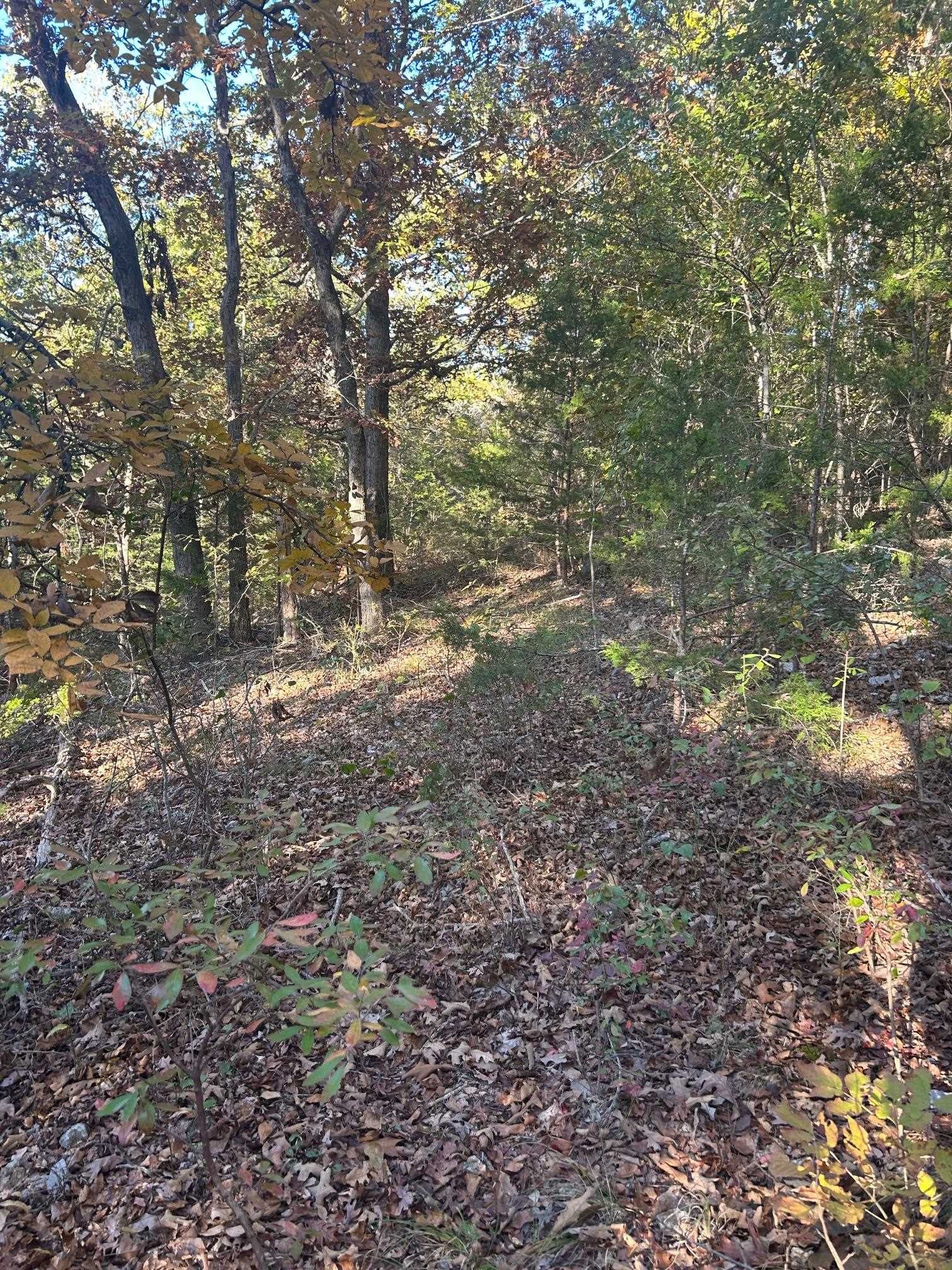 Tbd Cr 146 Property Photo 6