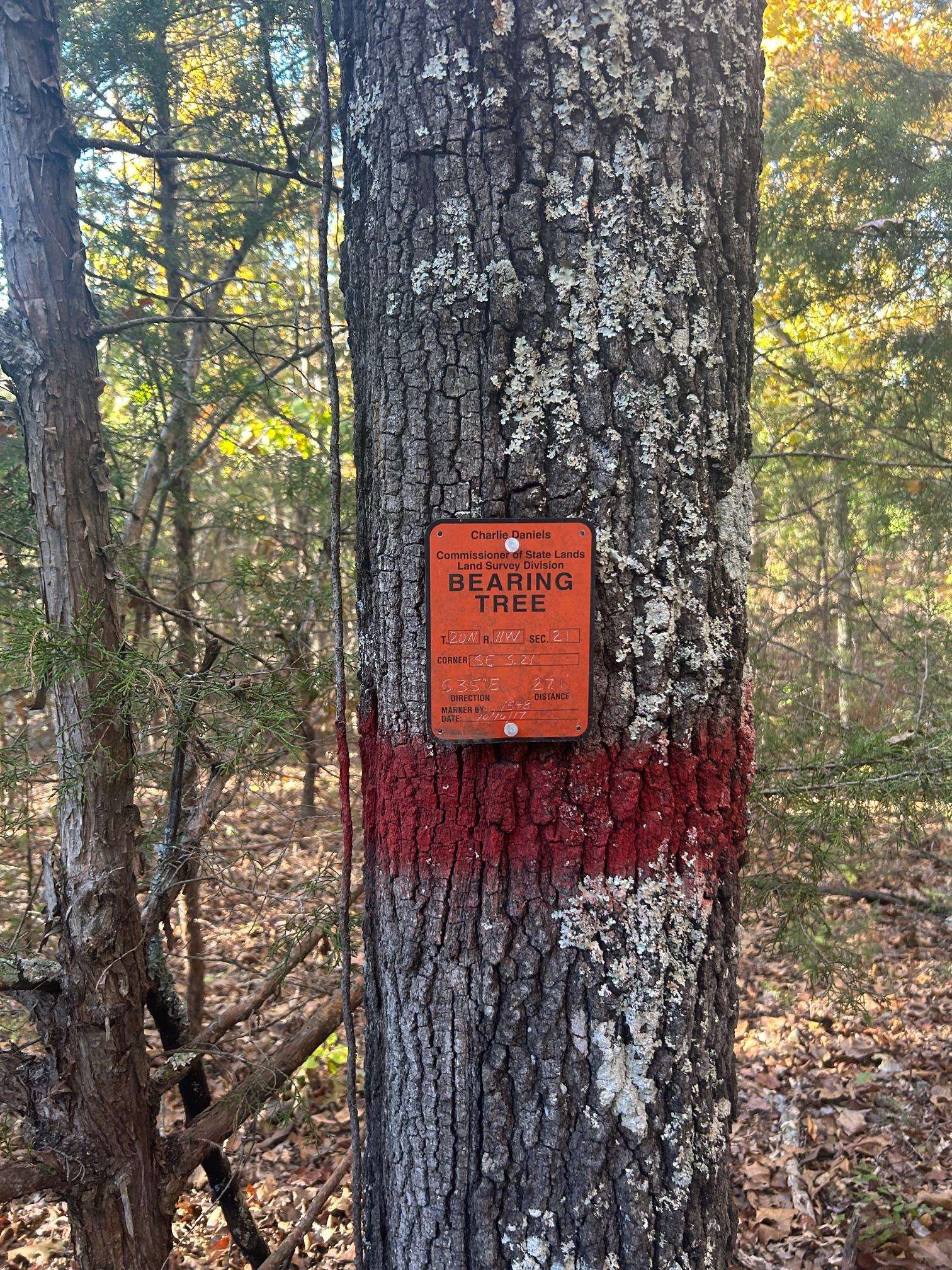 Tbd Cr 146 Property Photo 8