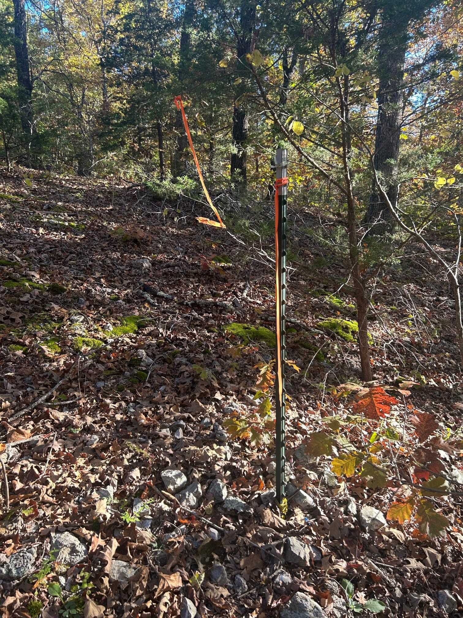 Tbd Cr 146 Property Photo 10