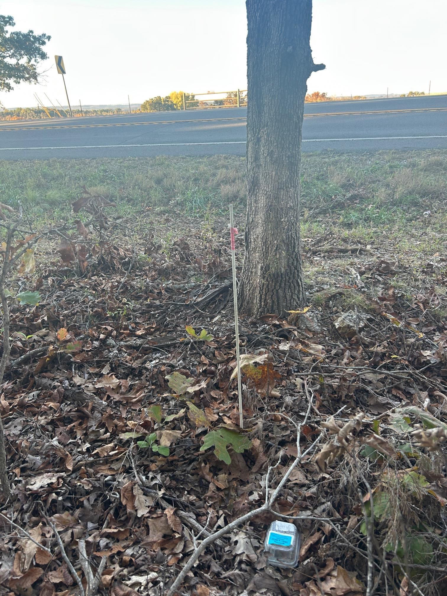 Tbd Cr 146 Property Photo 11