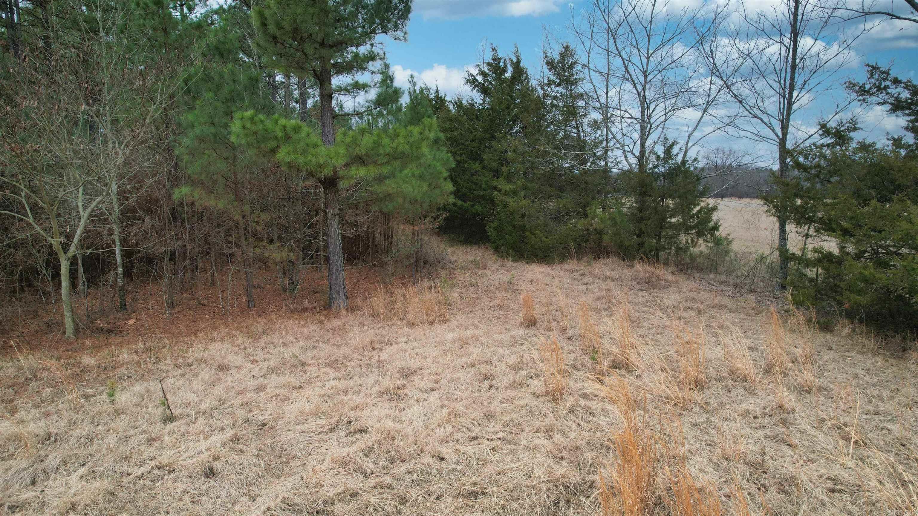 428 Pumpkin Center Circle Property Photo 23