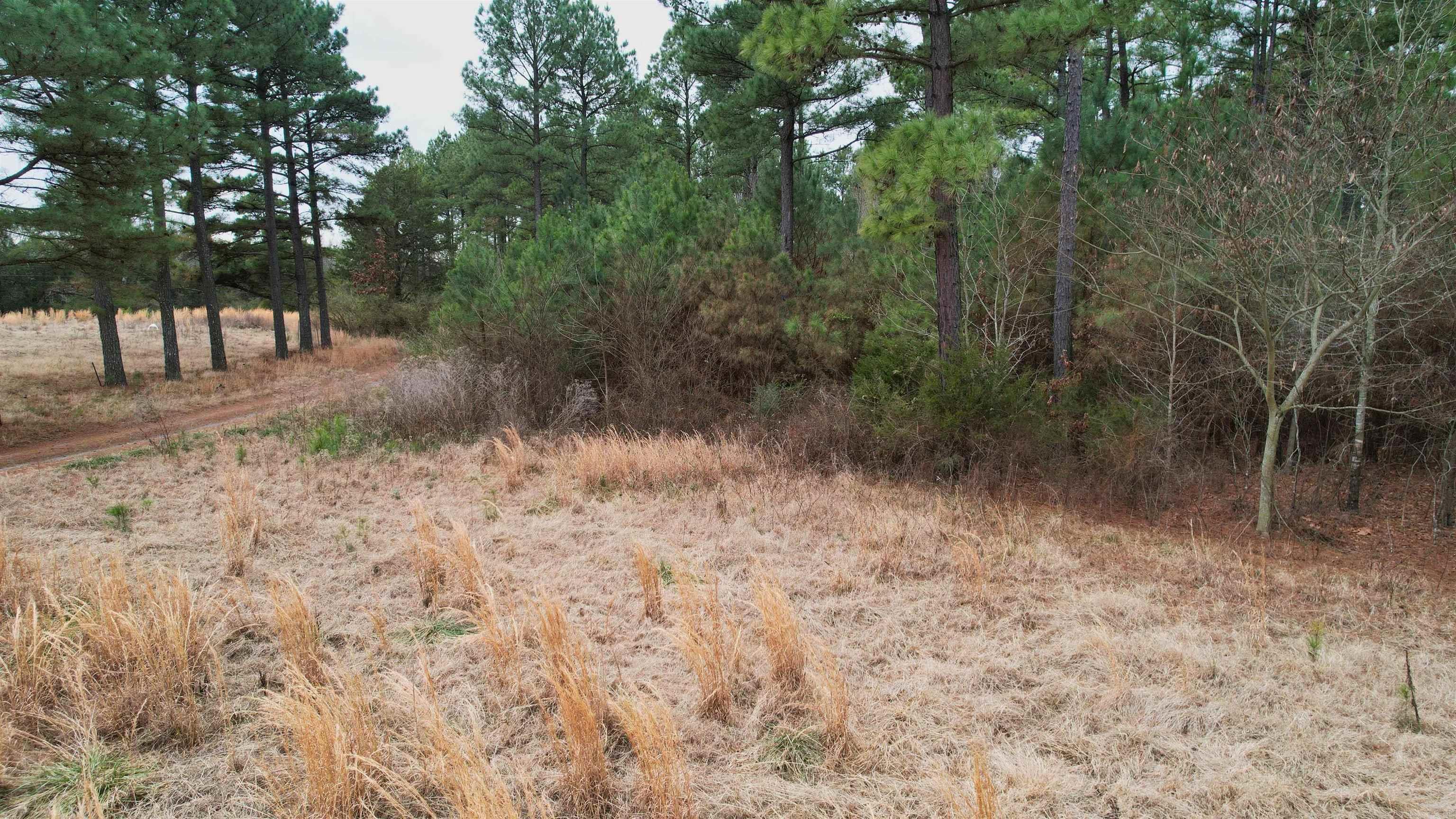 428 Pumpkin Center Circle Property Photo 24