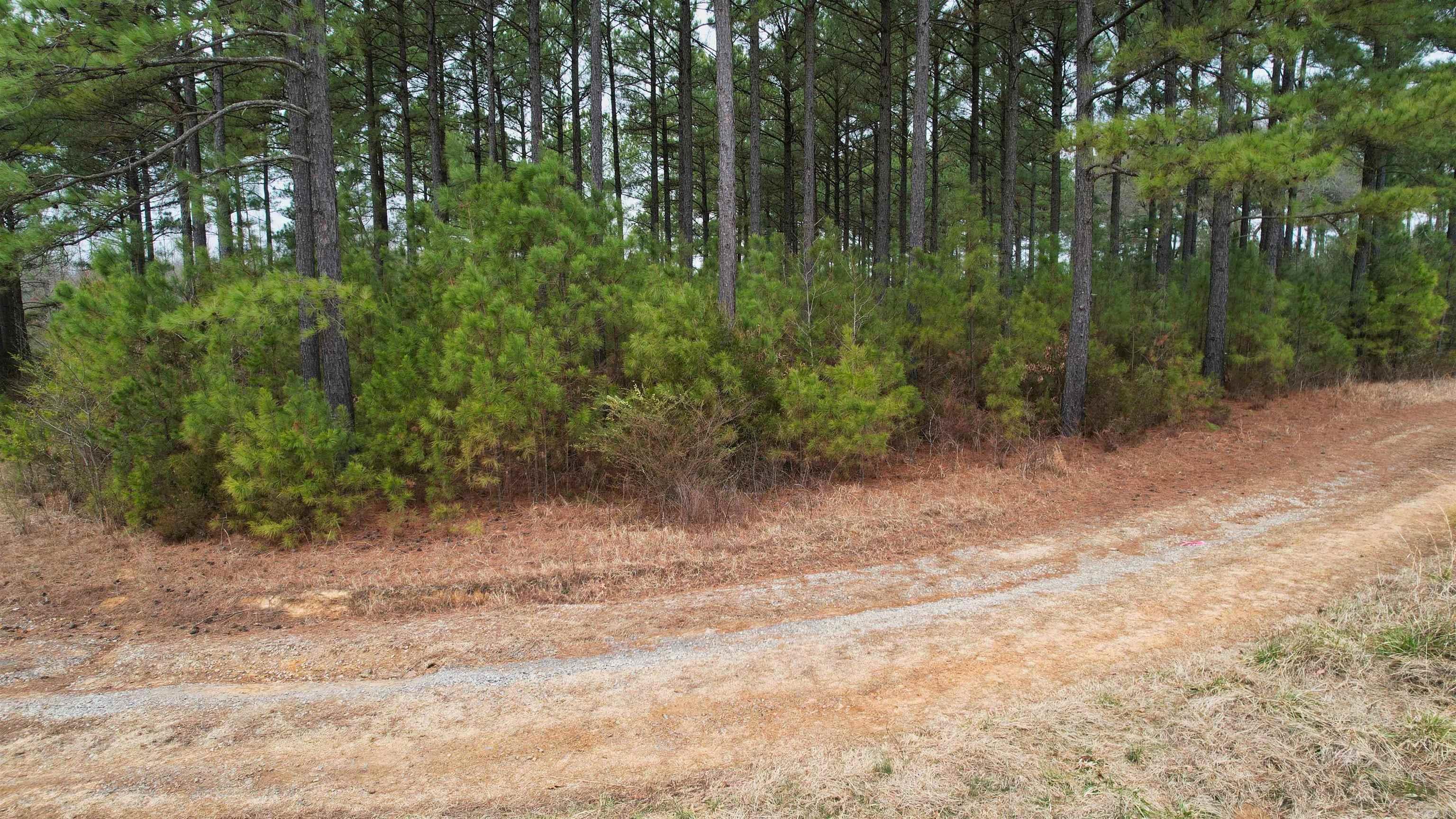 428 Pumpkin Center Circle Property Photo 27