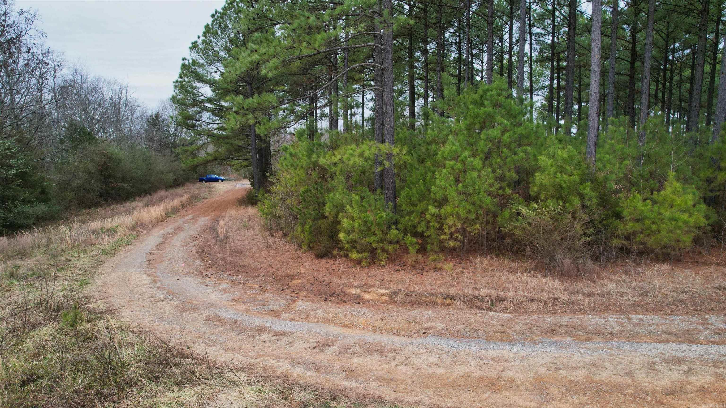 428 Pumpkin Center Circle Property Photo 28
