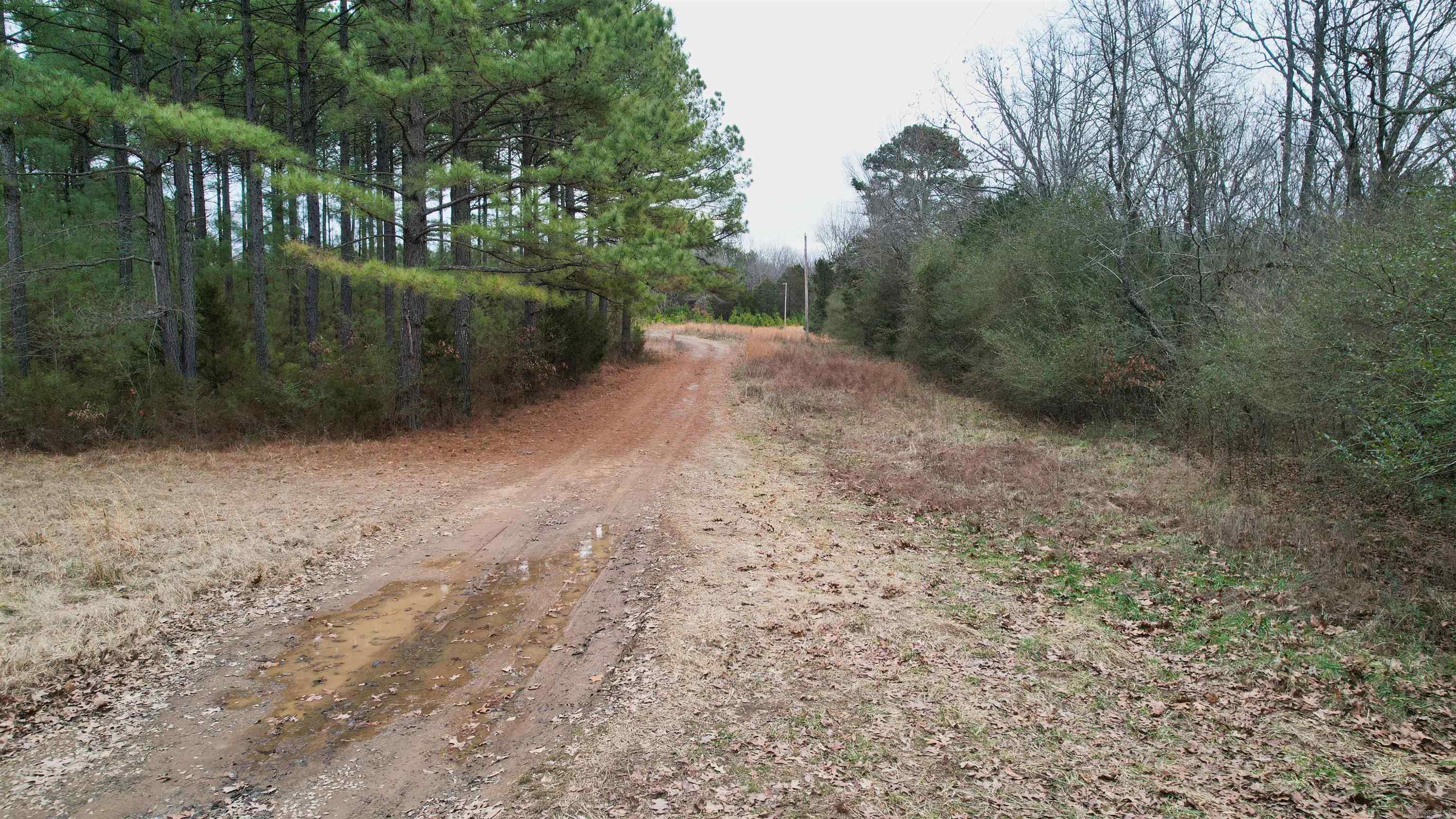 428 Pumpkin Center Circle Property Photo 29