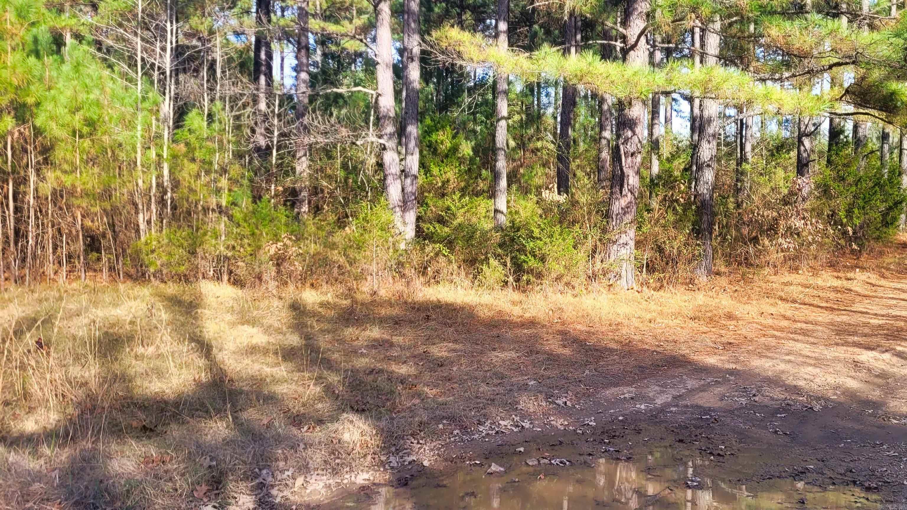 428 Pumpkin Center Circle Property Photo 31