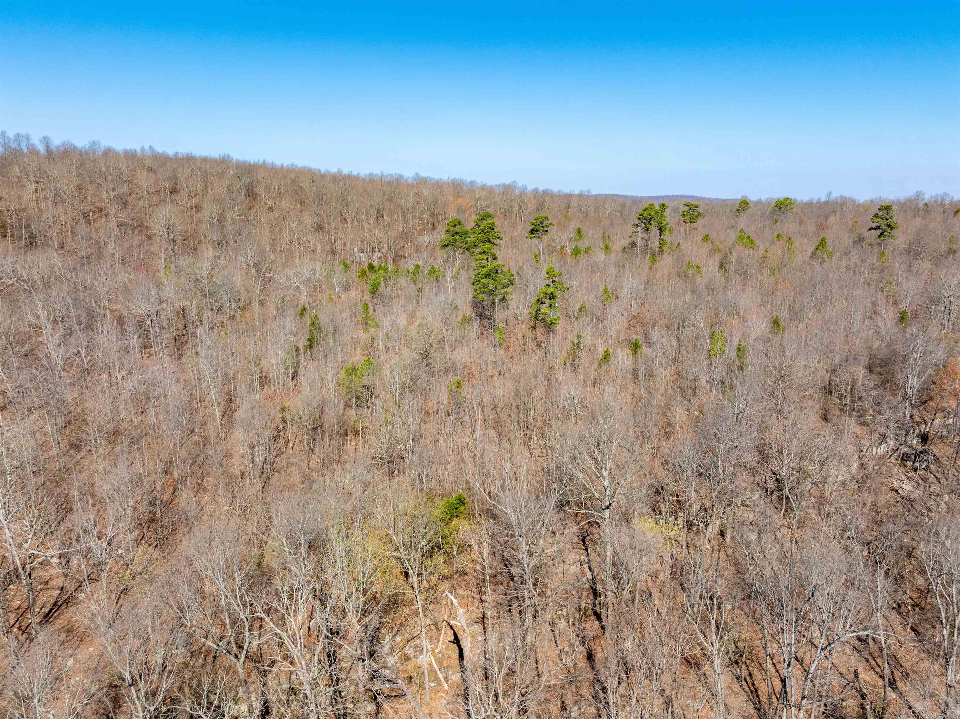 0 Jimmy Creek Road Property Photo 8