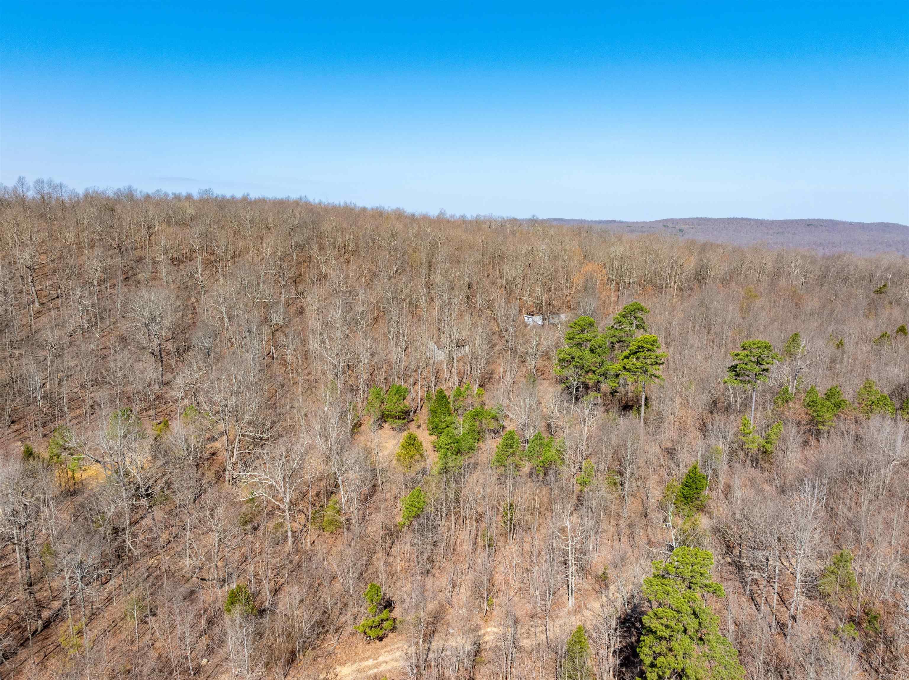 0 Jimmy Creek Road Property Photo 9