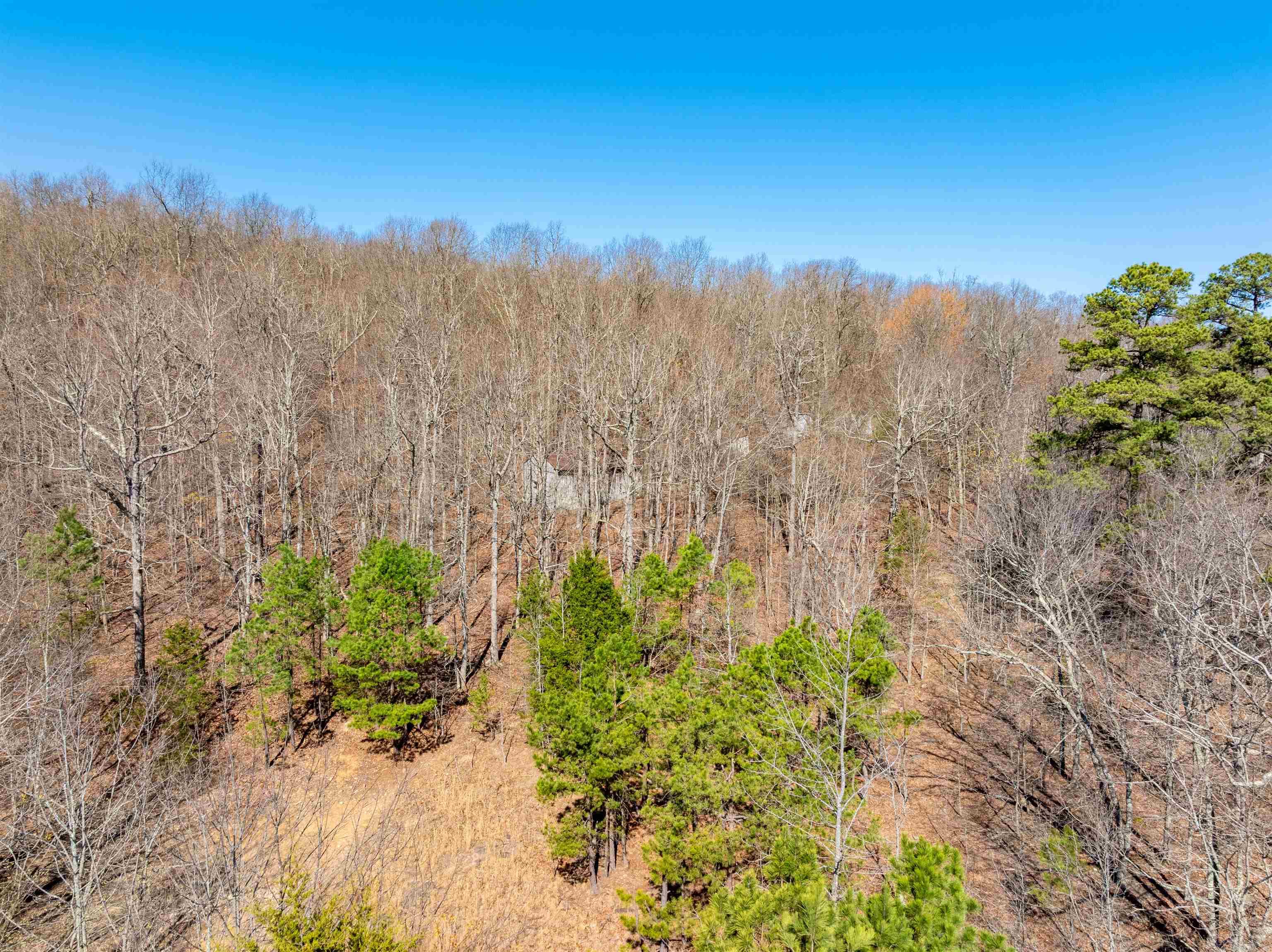 0 Jimmy Creek Road Property Photo 10