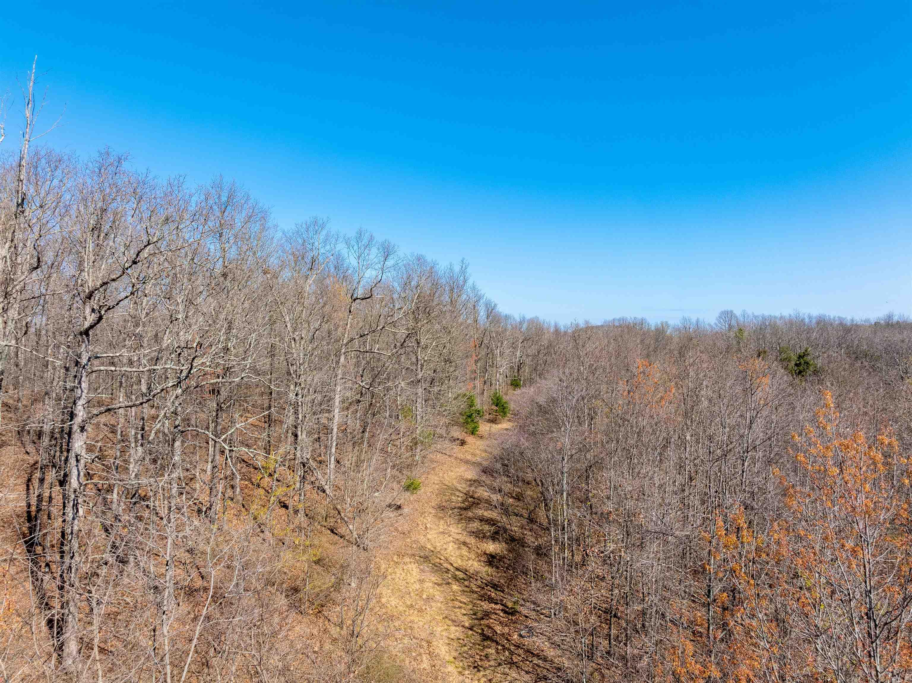 0 Jimmy Creek Road Property Photo 13