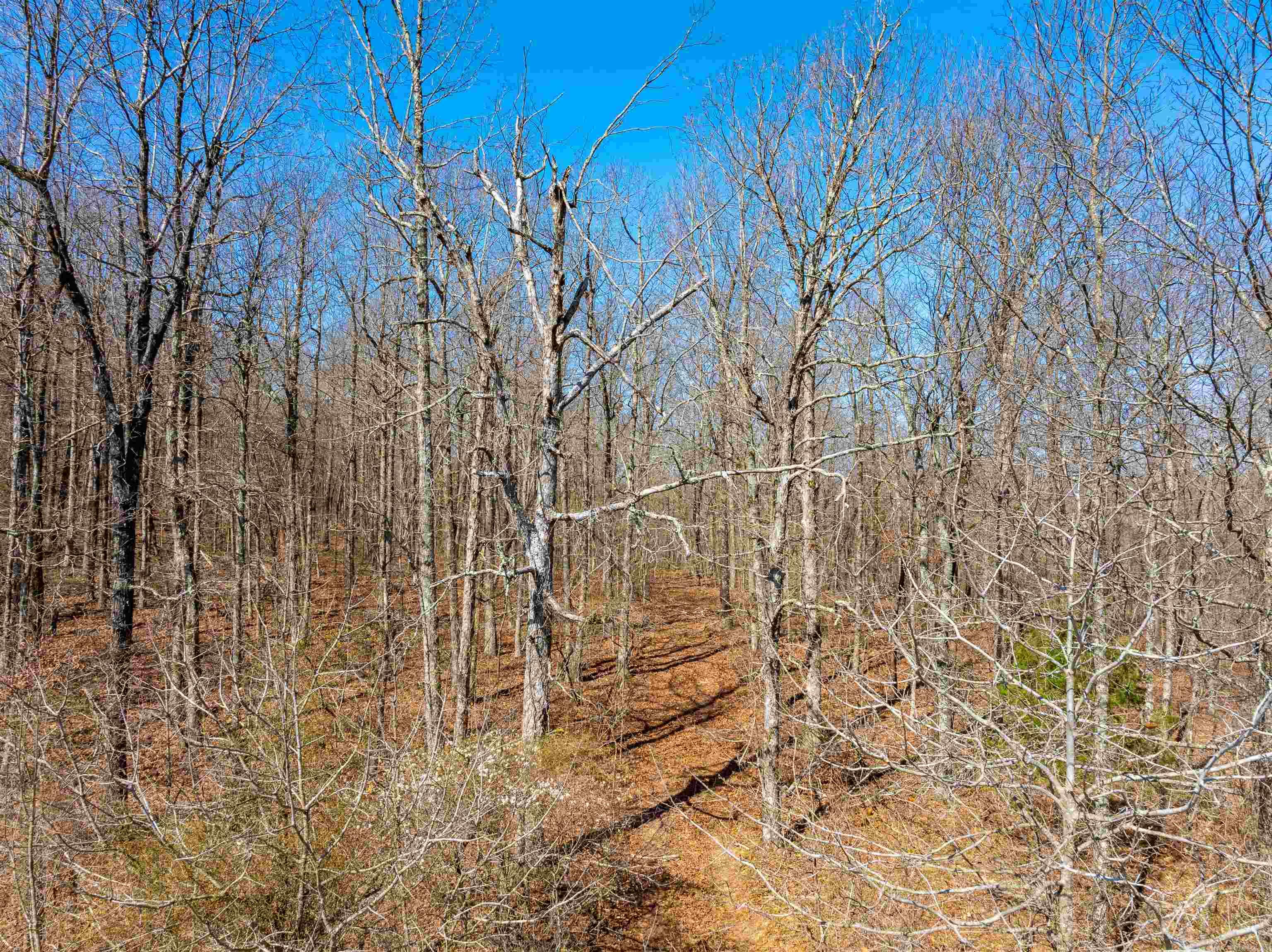 0 Jimmy Creek Road Property Photo 33