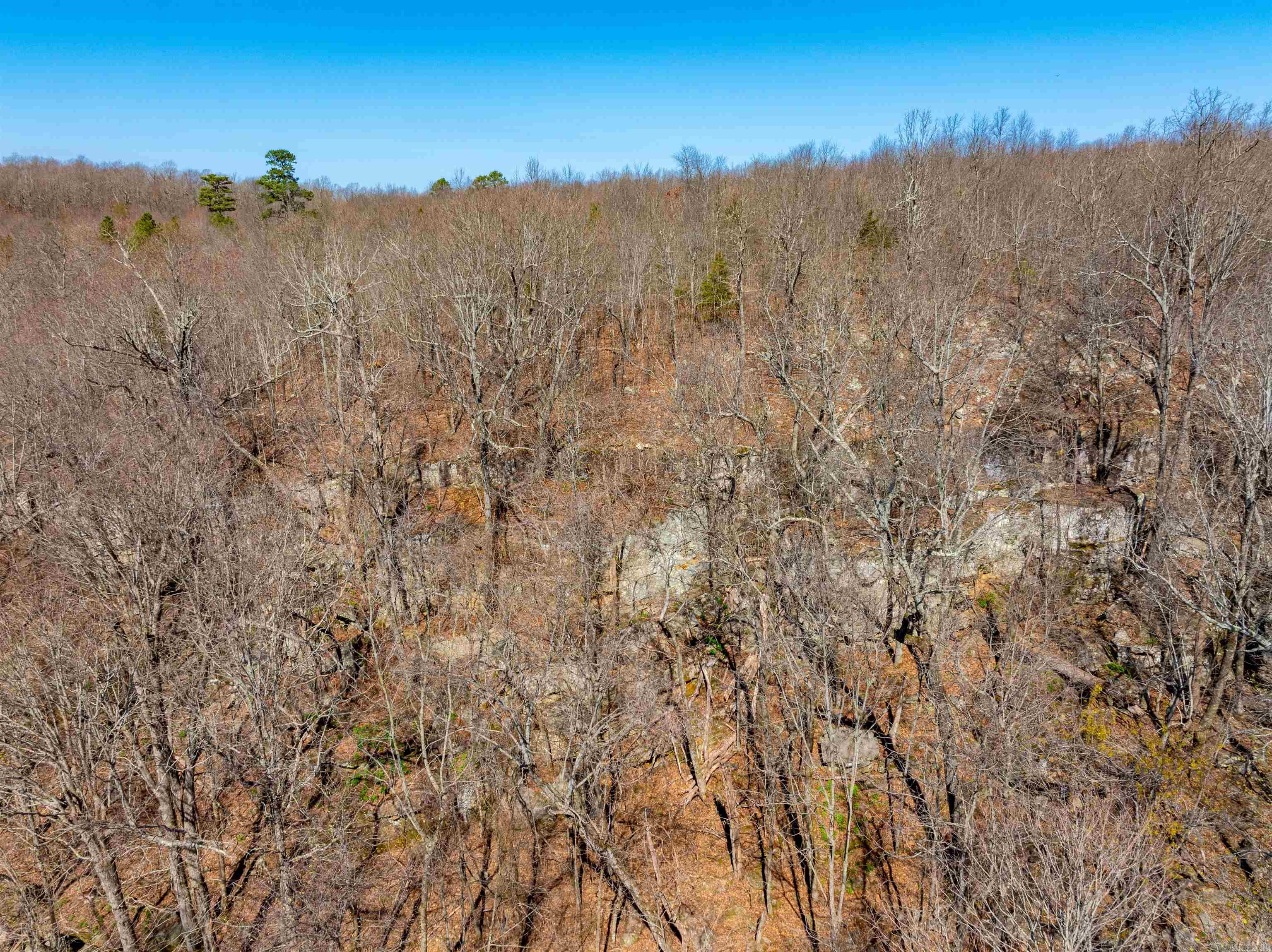 0 Jimmy Creek Road Property Photo 34
