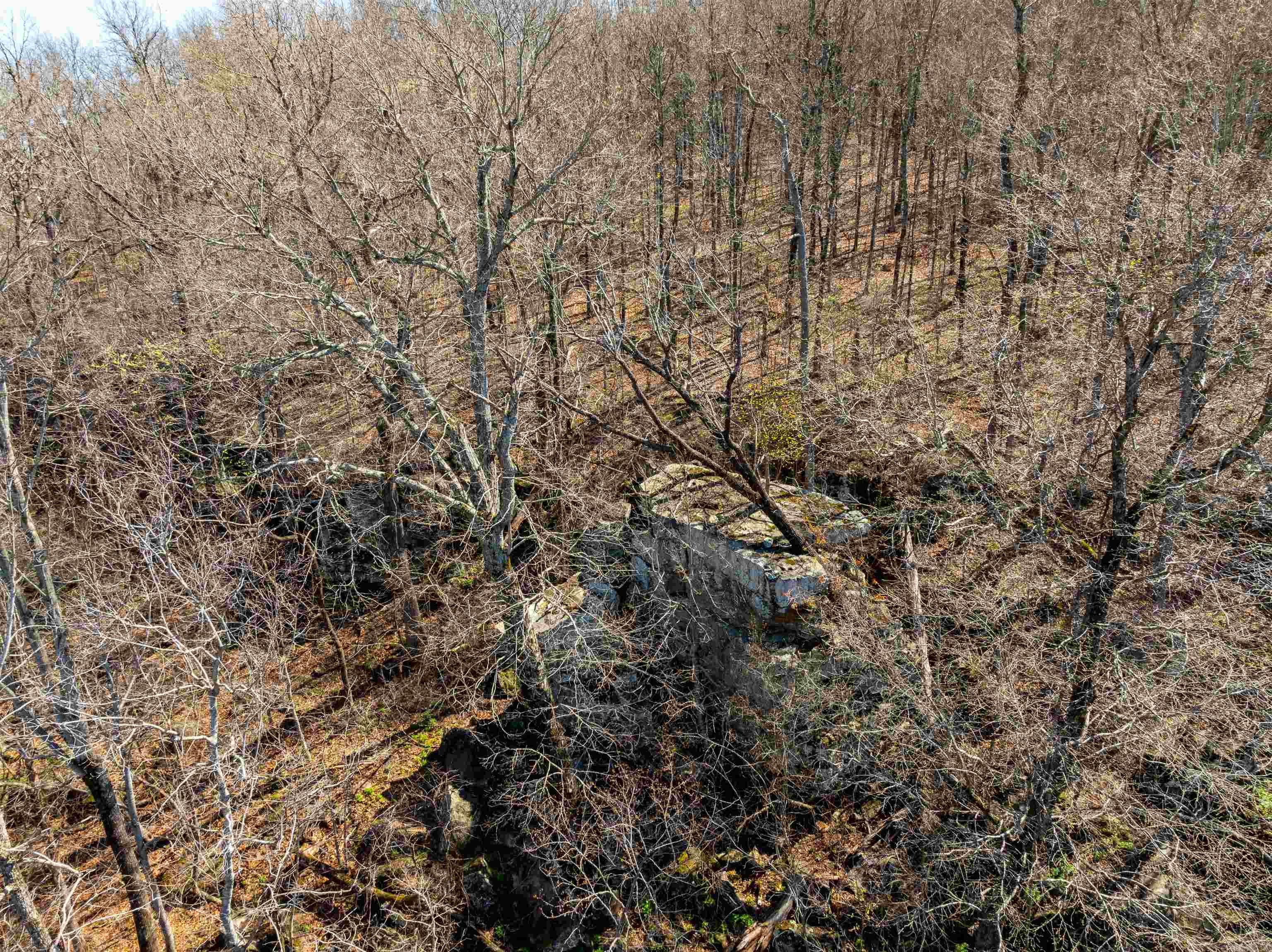 0 Jimmy Creek Road Property Photo 43
