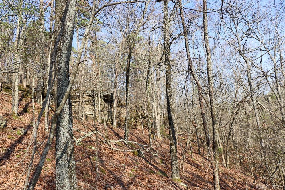 0000 Union Hill Road Property Photo 25