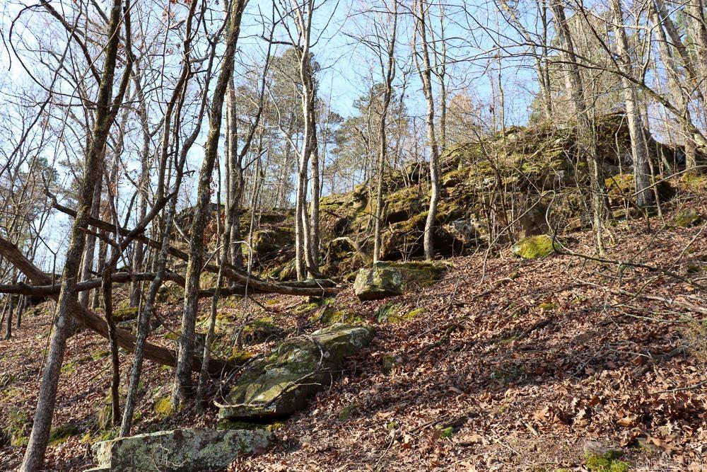 0000 Union Hill Road Property Photo 31