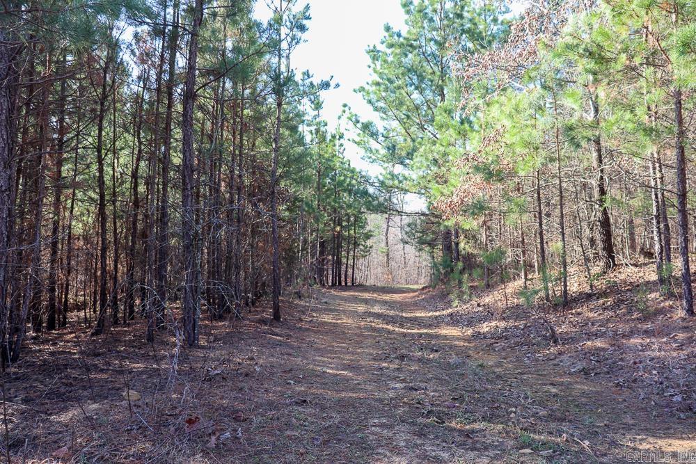 0000 Union Hill Road Property Photo 44