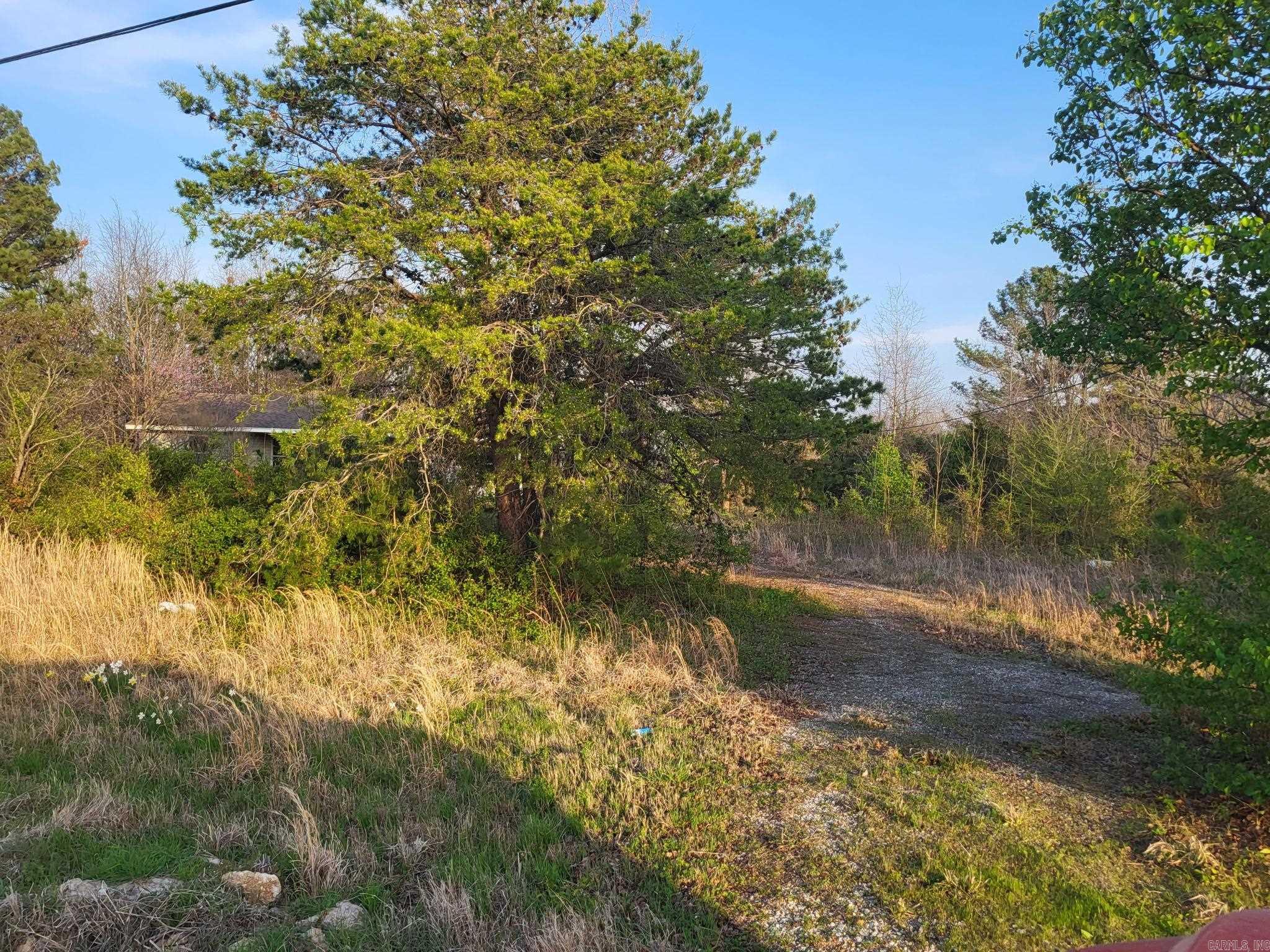 6475 Highway 67 Property Photo 18