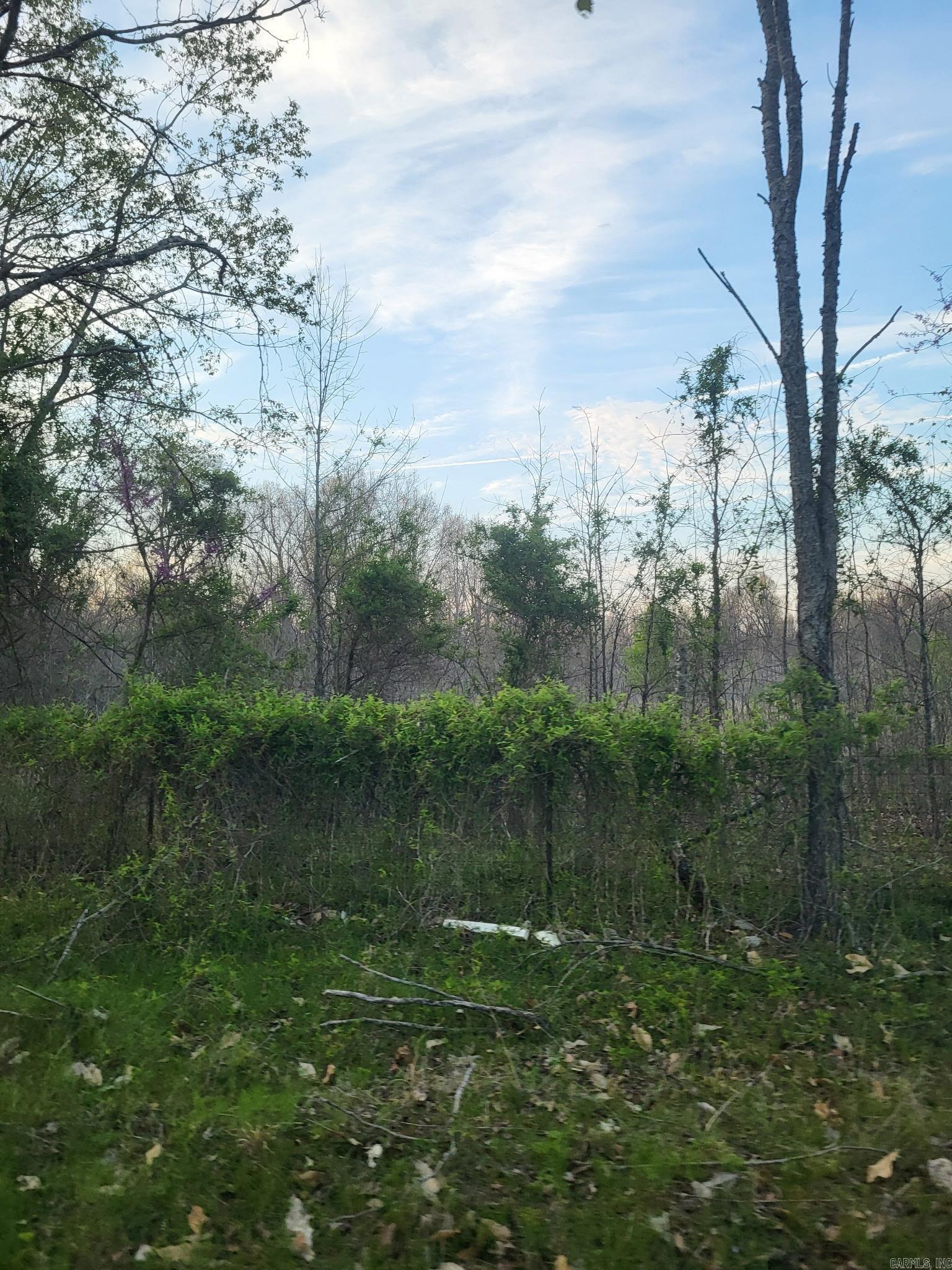 6475 Highway 67 Property Photo 27