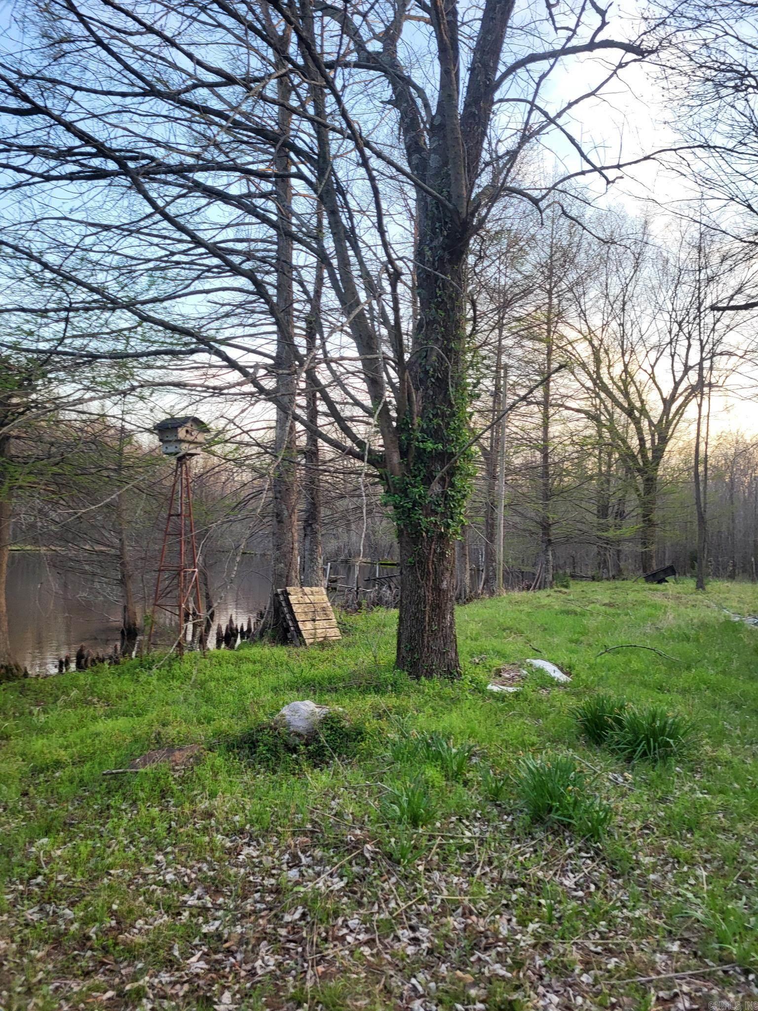 6475 Highway 67 Property Photo 38