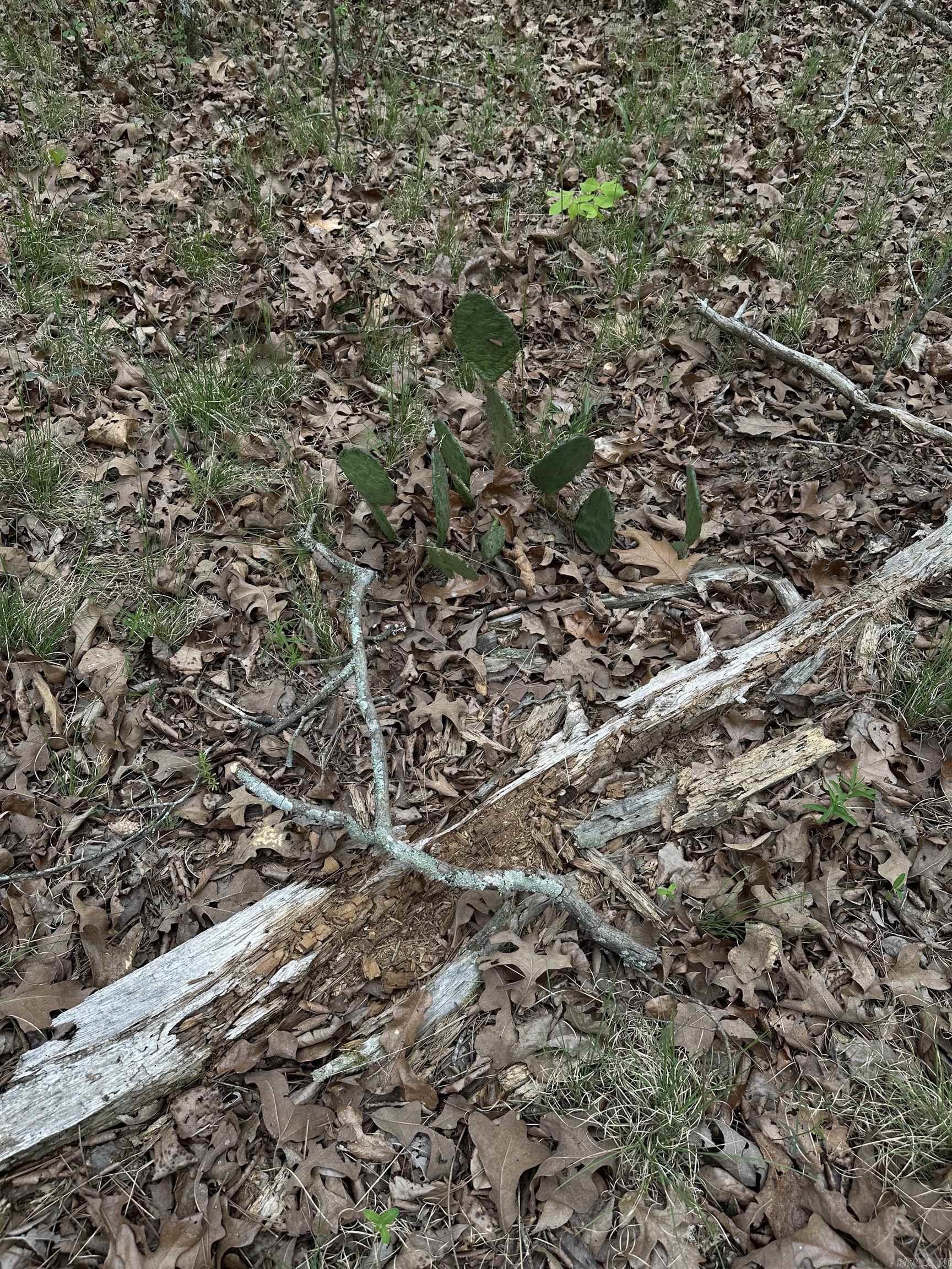 0 Julian Property Photo 1