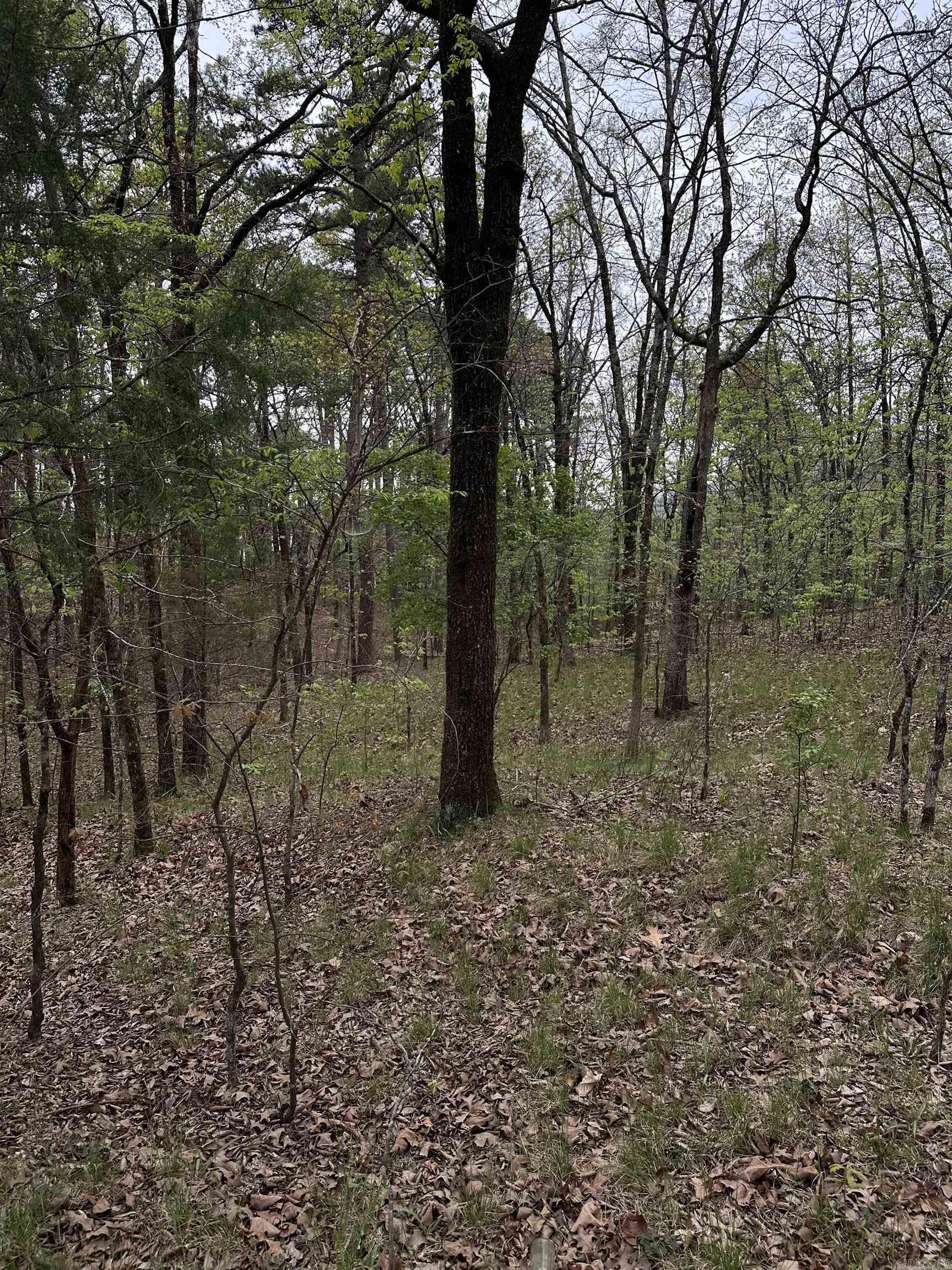 0 Julian Property Photo 2