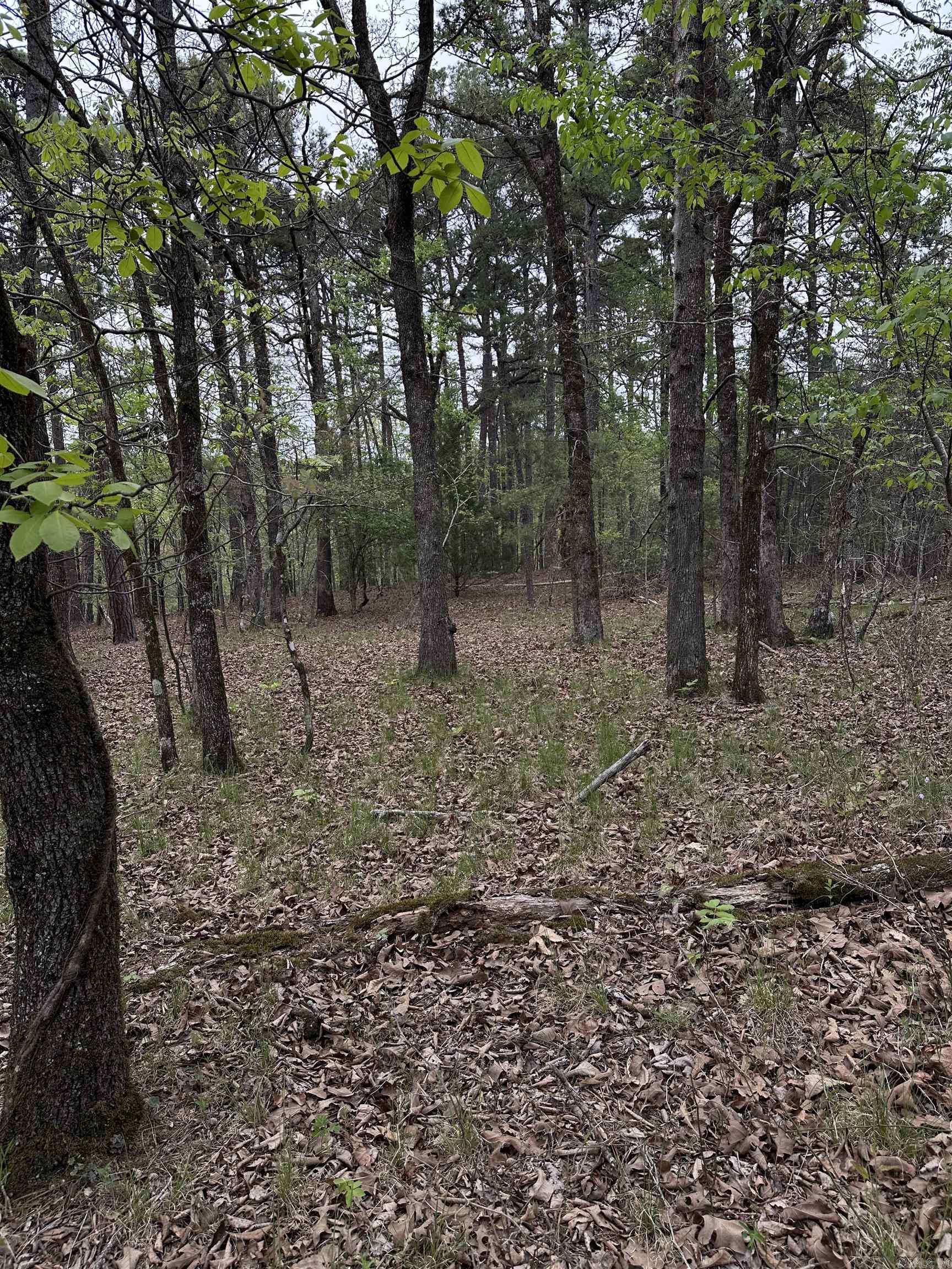 0 Julian Property Photo 3