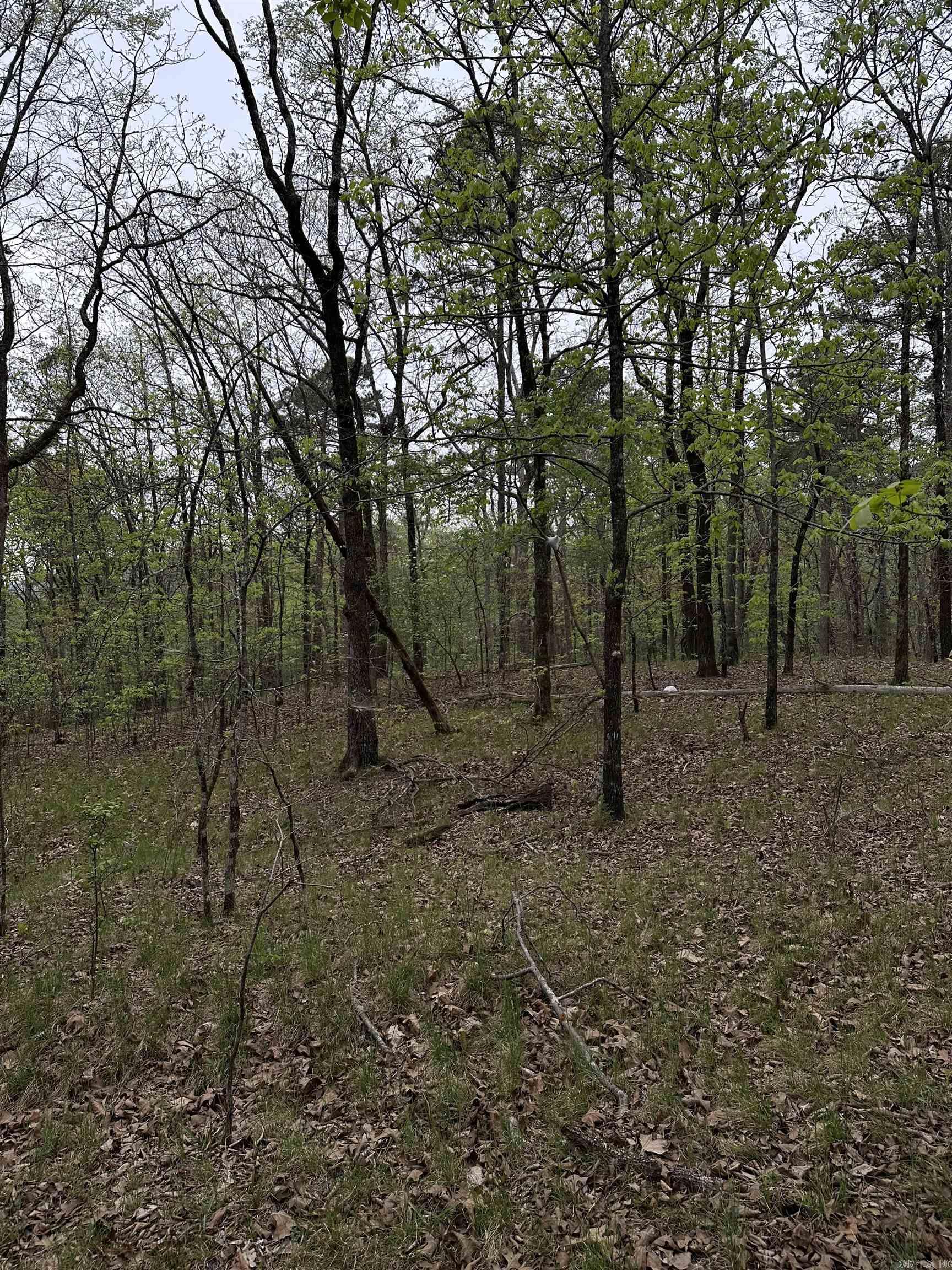 0 Julian Property Photo 4