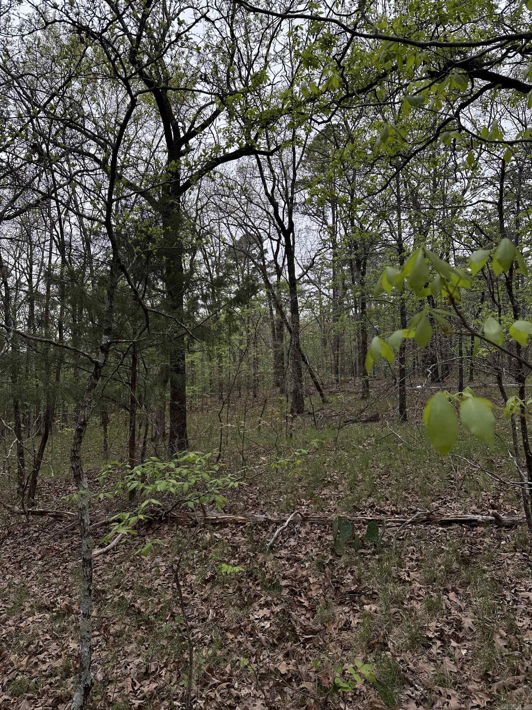 0 Julian Property Photo 6
