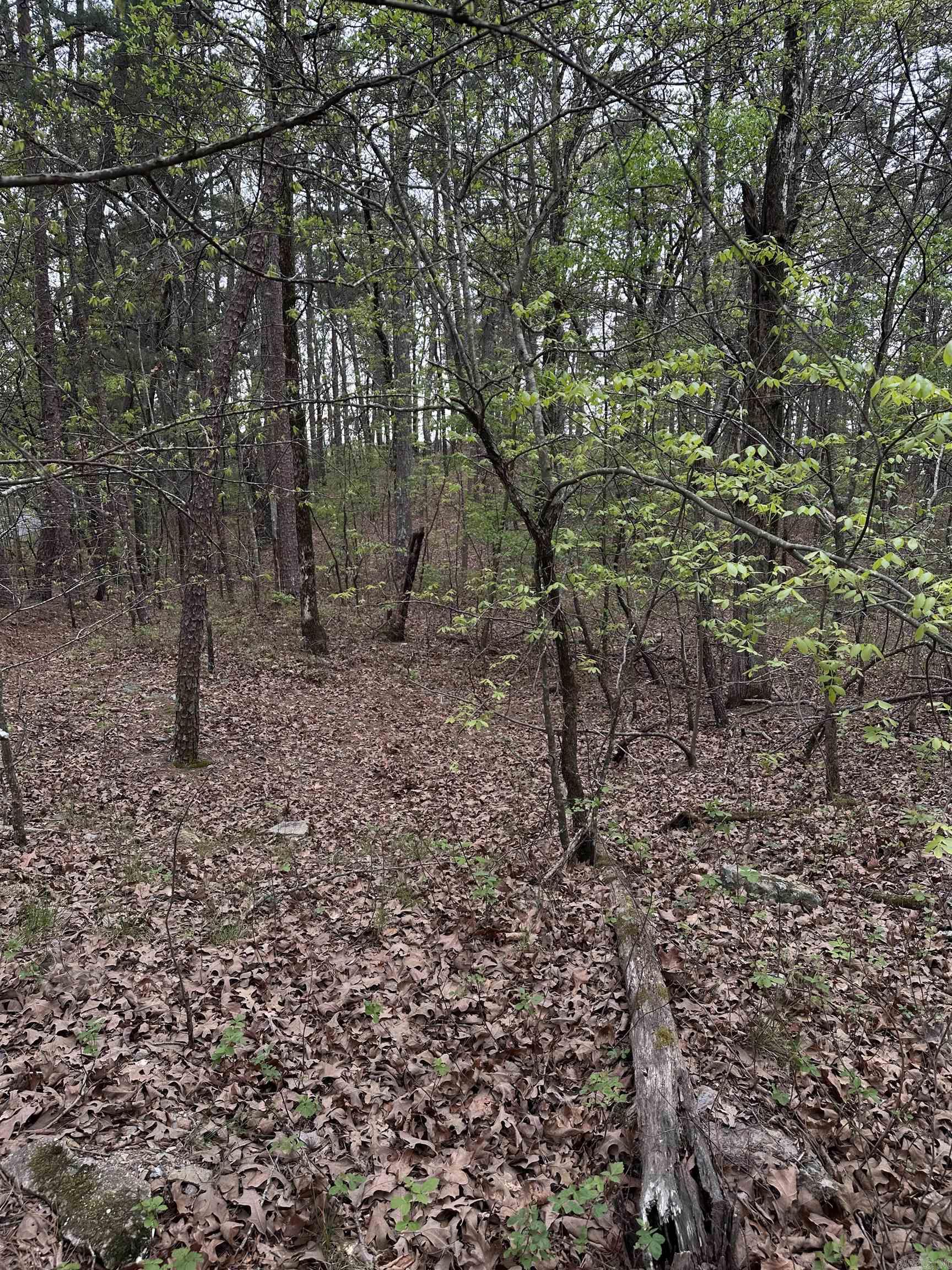 0 Julian Property Photo 7